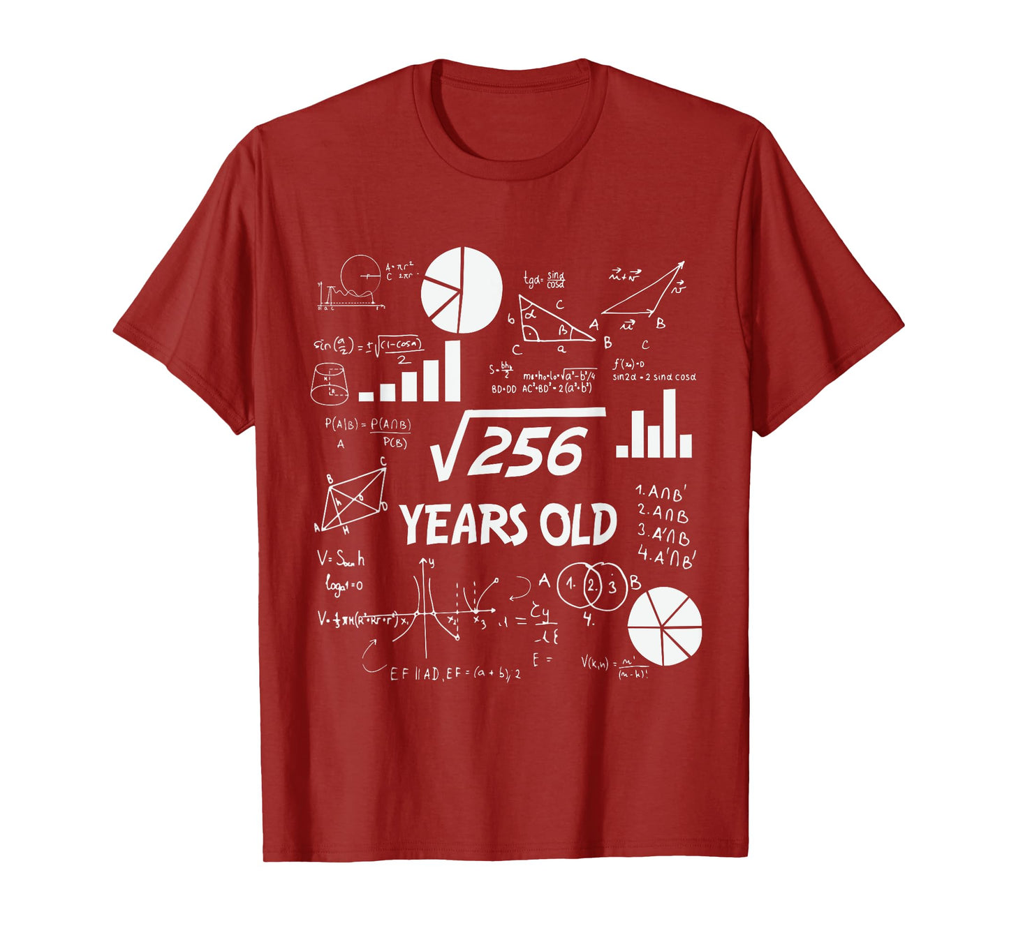 16th Birthday Square Root of 256 Math 16 Years Old Birthday T-Shirt