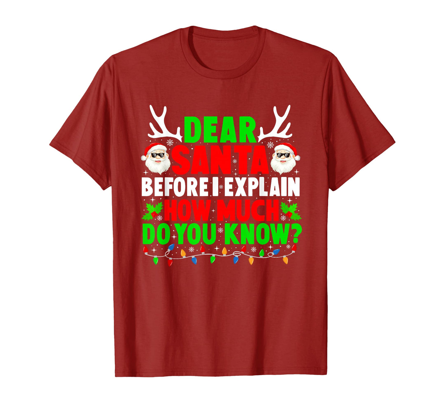 Dear Santa I Can Explain Funny Xmas Family Men Women Kids T-Shirt