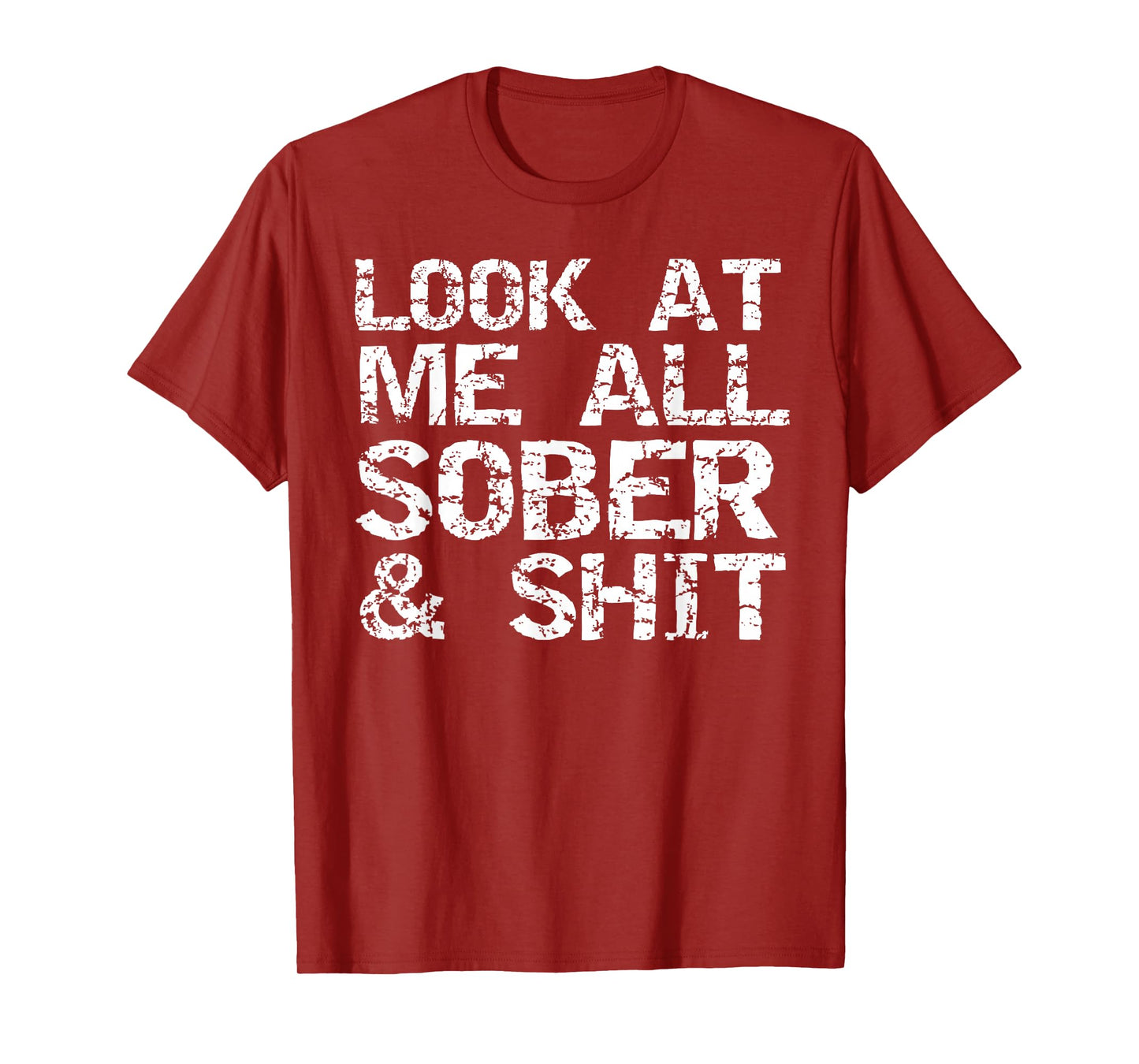 Funny Addiction Recovery Gifts Look at Me All Sober & Shit T-Shirt