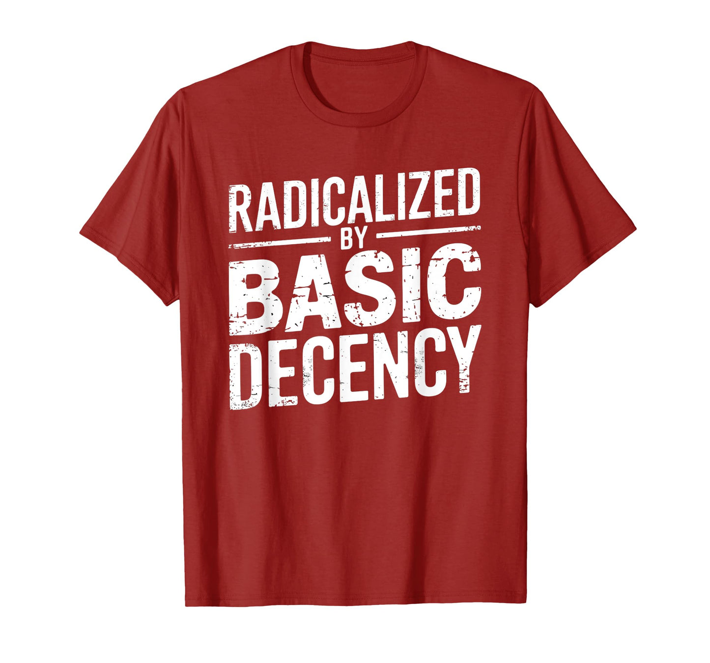 Radicalized By Basic Decency Funny Quote Distressed Vintage T-Shirt