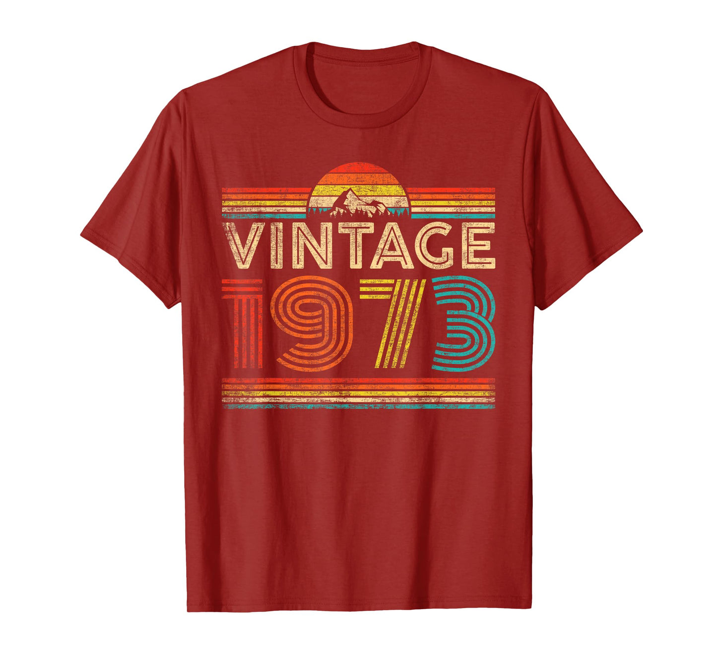 Vintage 1973 Classic Year 1973 Birthday Men Women Vintage T-Shirt