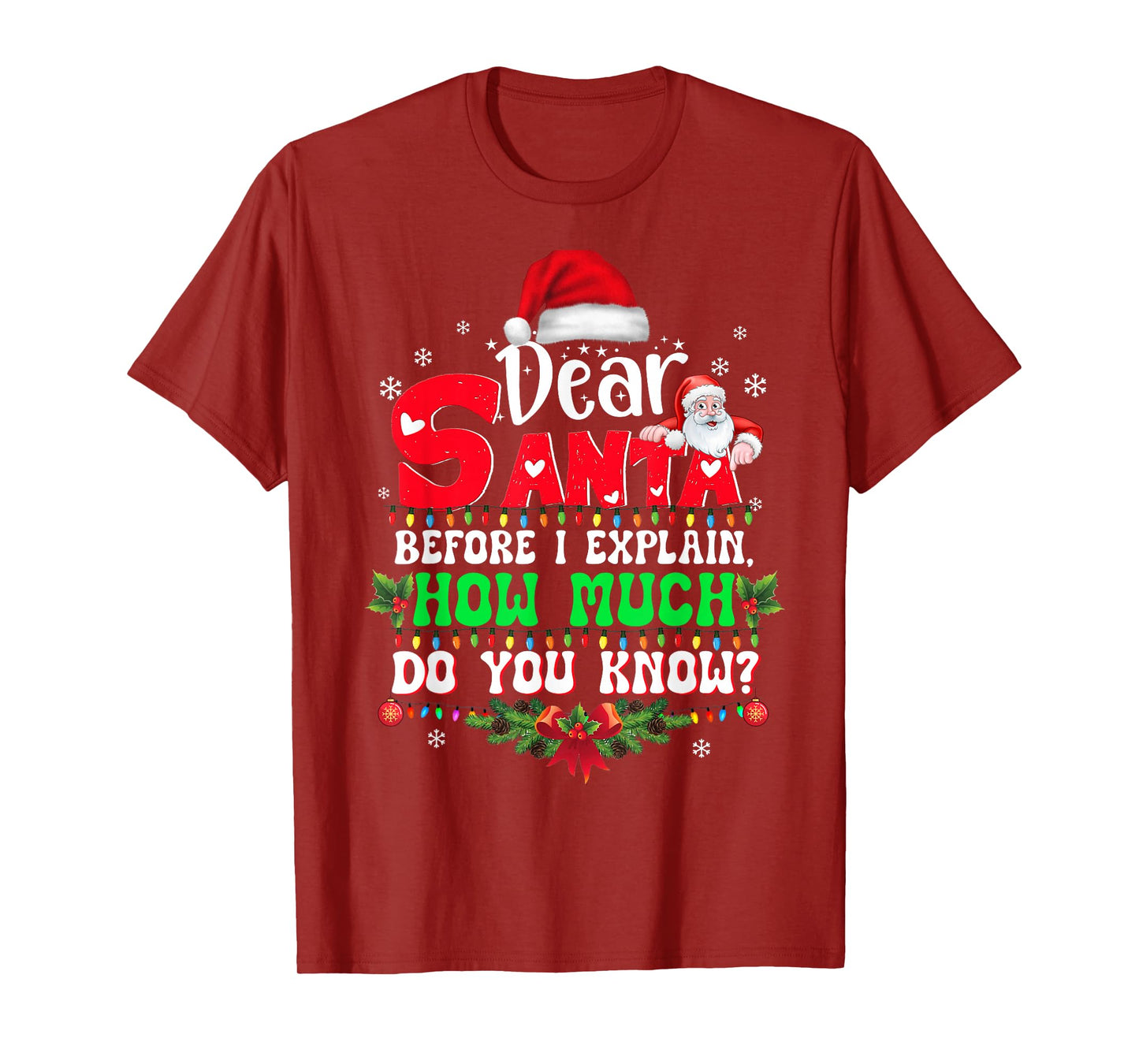 2025 Funny Christmas Shirts Kids Adults Santa I Can Explain T-Shirt