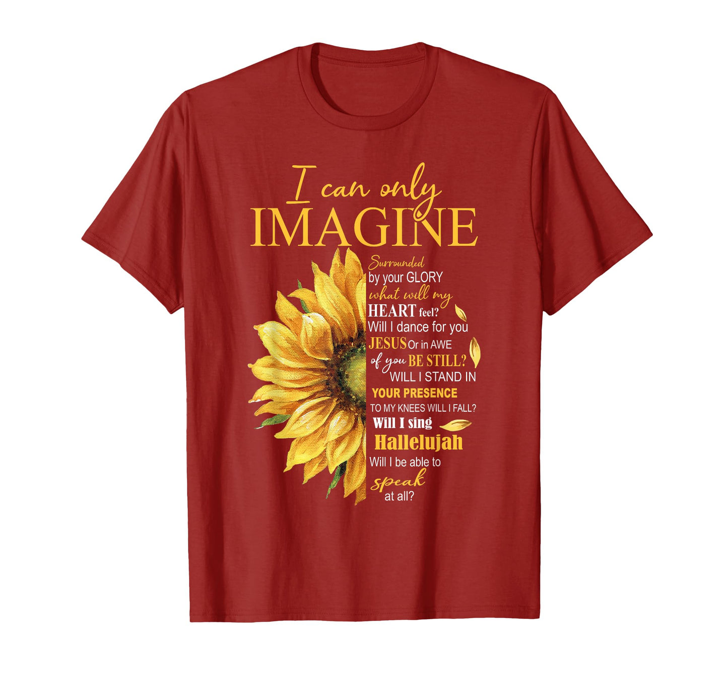 I Only Can Imagine Faith Christian Catholic Jesus God Lover T-Shirt