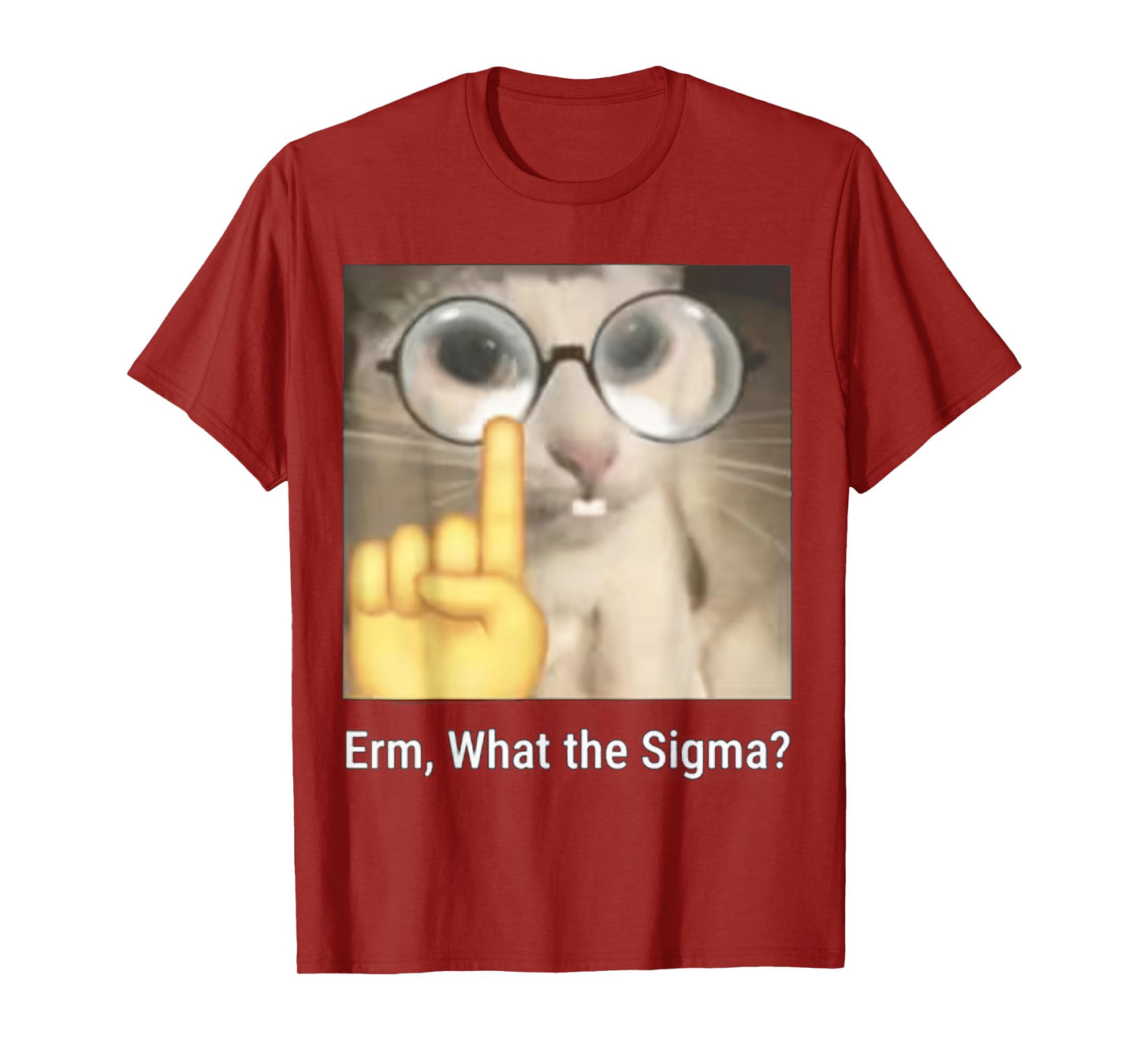 Erm, What the Sigma? Cat Meme Funny T-Shirt