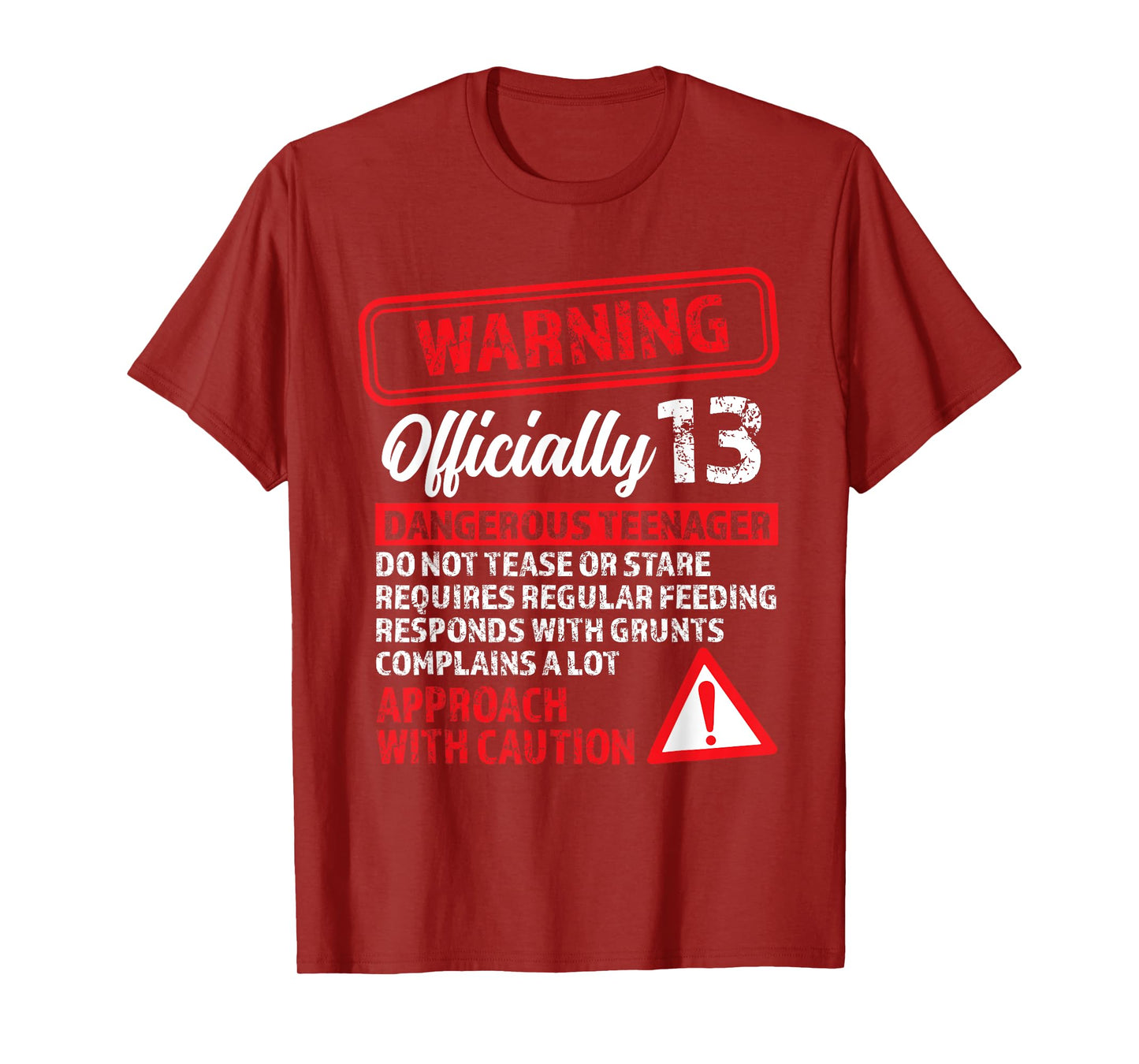13th Birthday Gifts Warning Dangerous Teenager 13 Yr Old T-Shirt