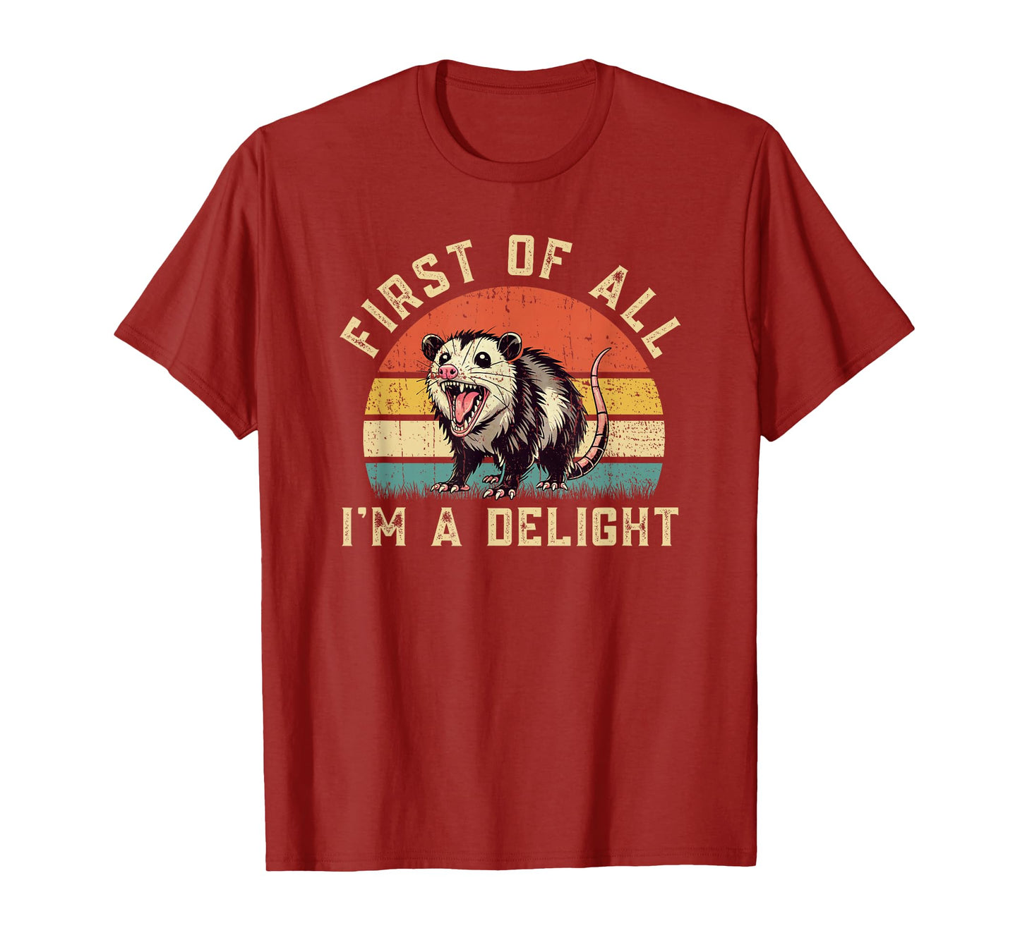Funny Possum Opossum First Of All I'm A Delight T-Shirt