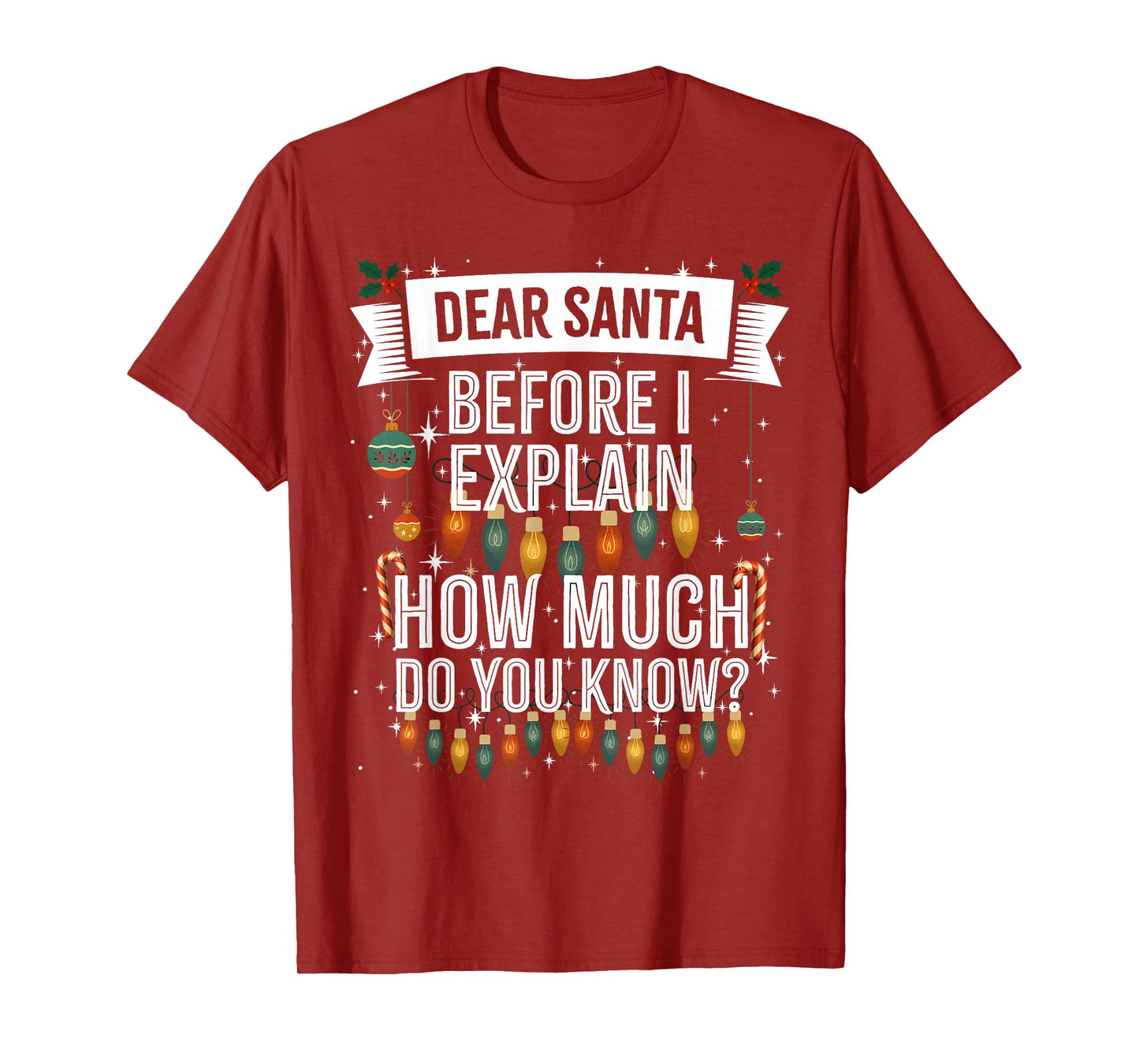 Dear Santa, I can Explain, Funny Naughty Adult Christmas T-Shirt