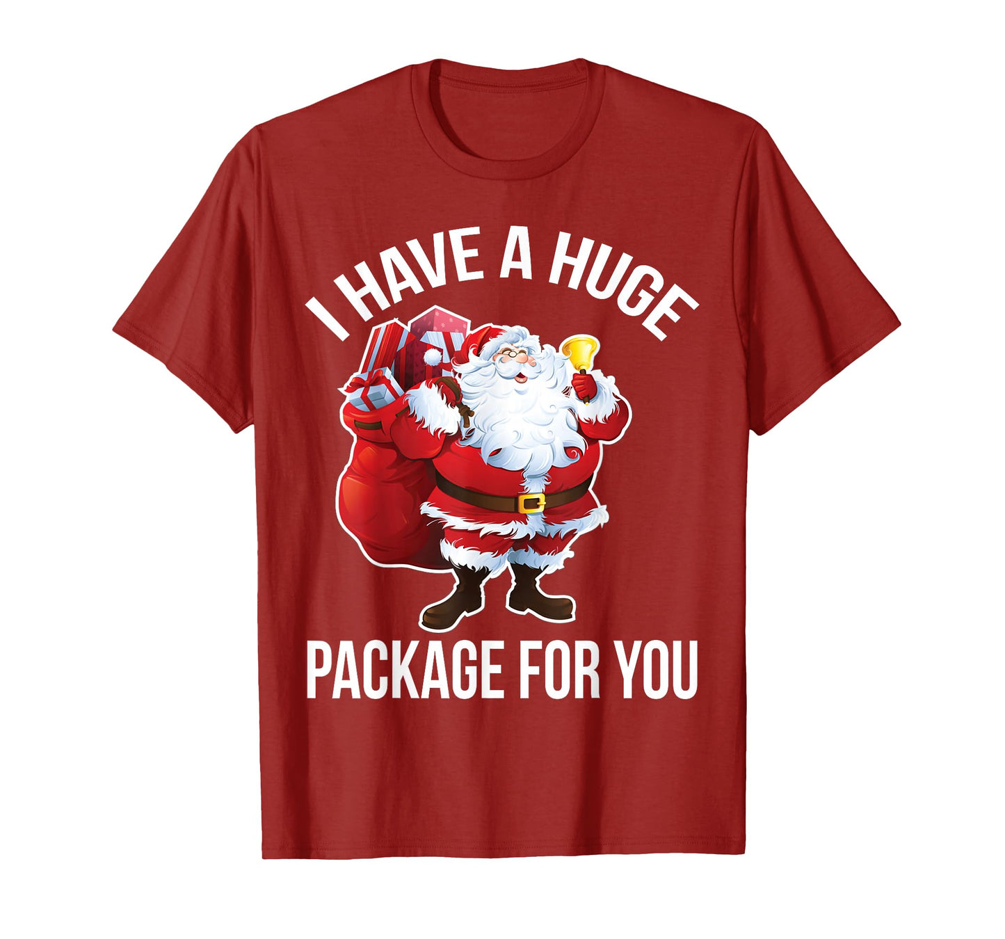 Huge Package for You Funny Raunchy Santa Christmas Humor Top T-Shirt