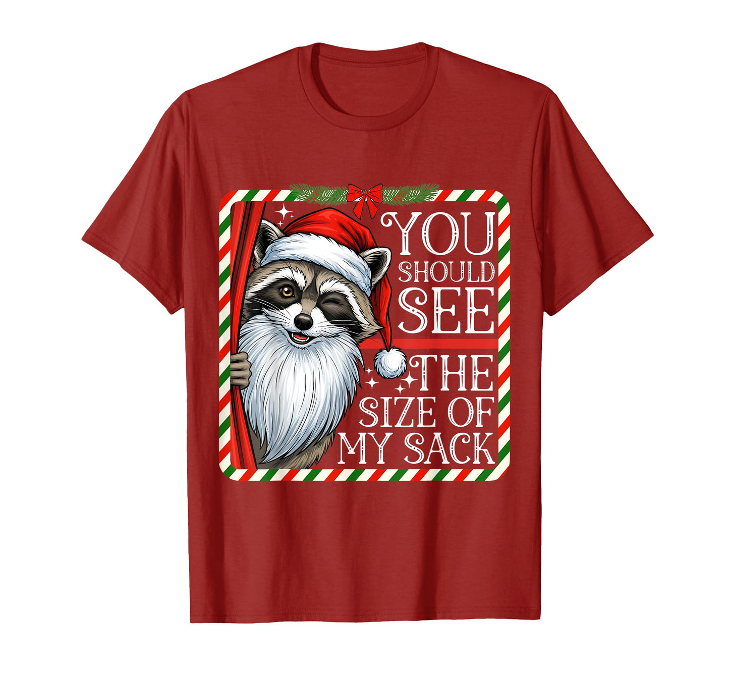 You Should See The Size of My Sack Funny Santa Christmas T-Shirt