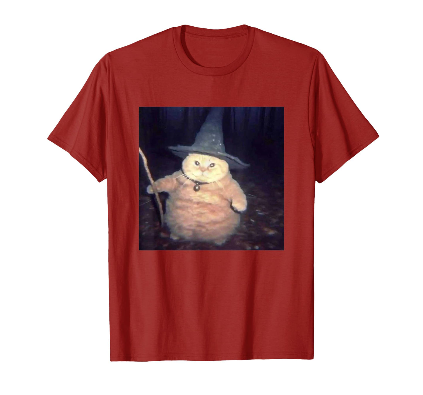 Vintage Witch Cat Peekaboo Halloween Funny Cat Meme Weird T-Shirt