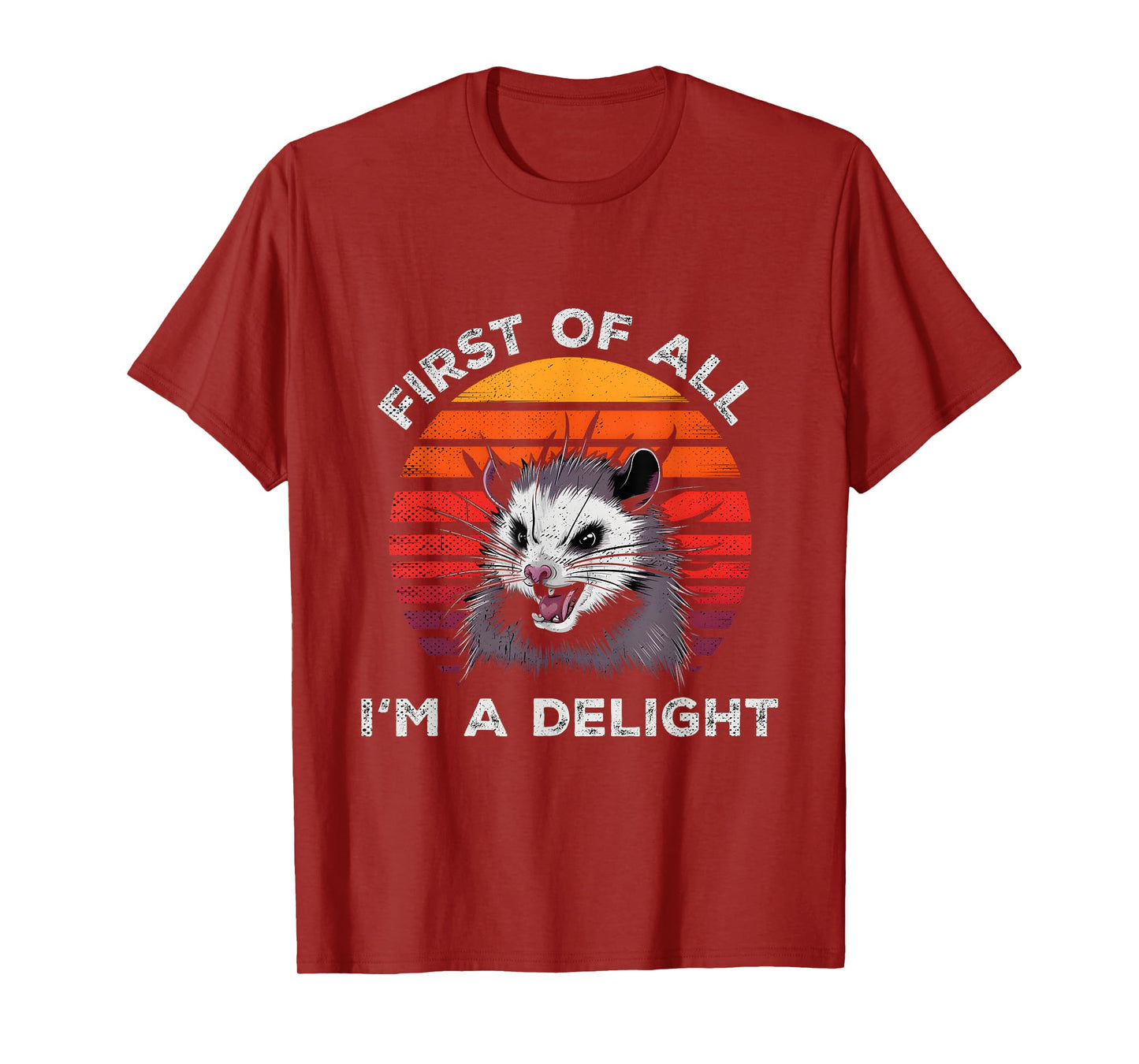 Sarcastic Pun Opossum Men Women First Of All Im A Delight T-Shirt