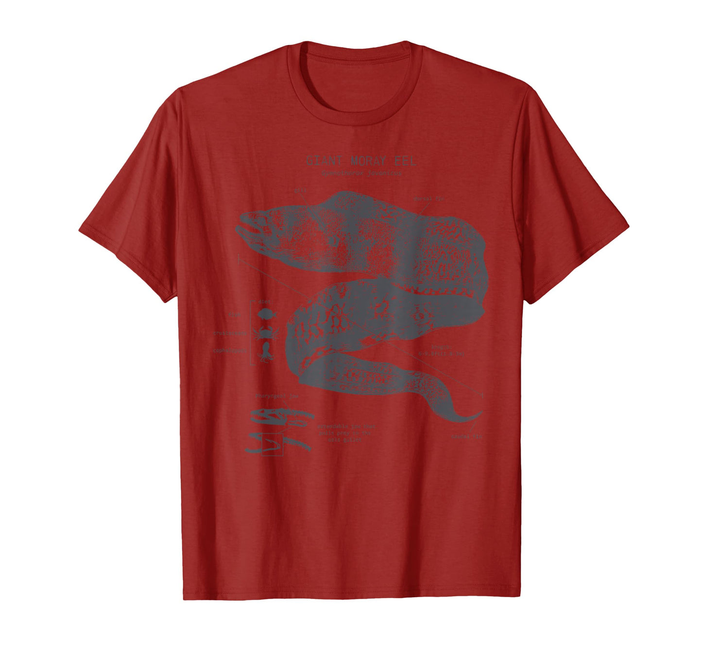 Vintage Moray Eel Anatomy Ocean Animal Marine Biologist T-Shirt