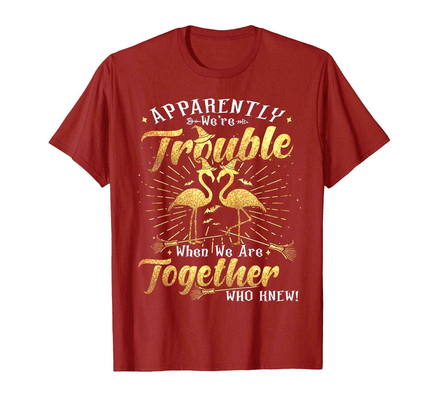 Apparently We're Trouble Flamingo Witches Halloween Witchy T-Shirt