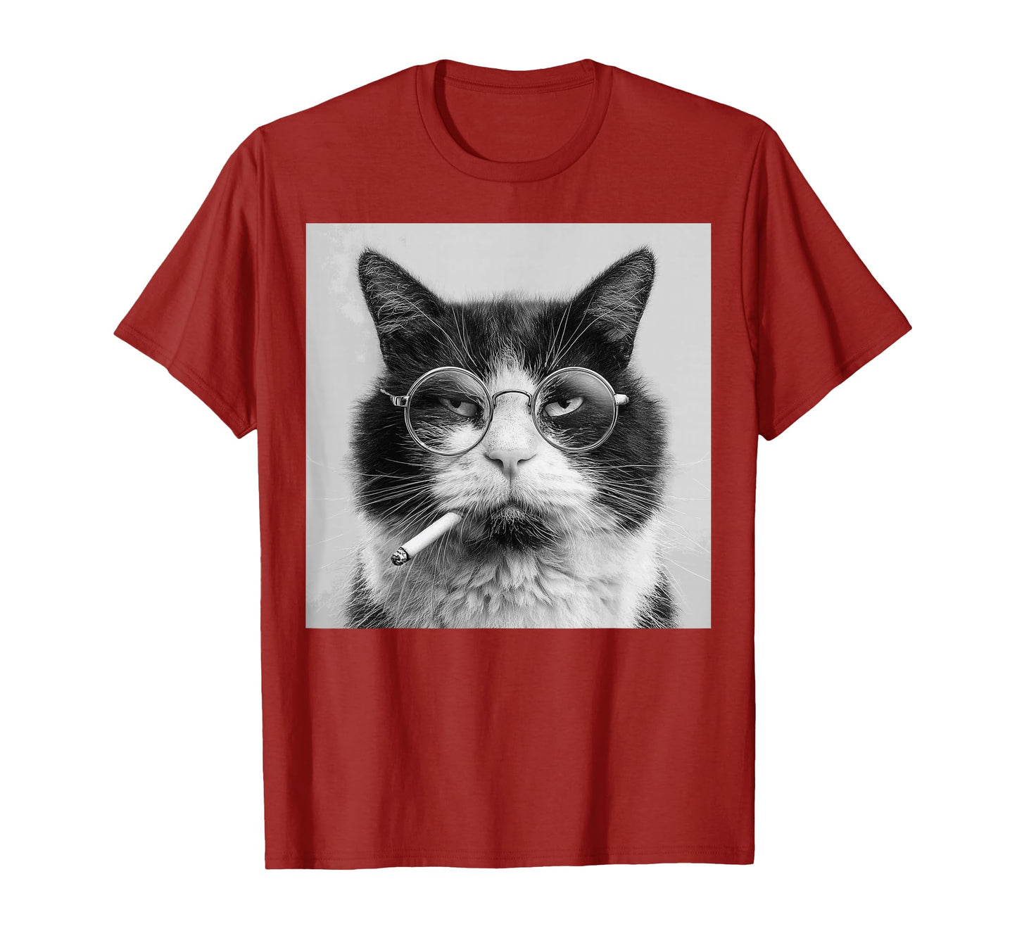 Funny Graphic Cat Smoking Adult Funny T-Shirt