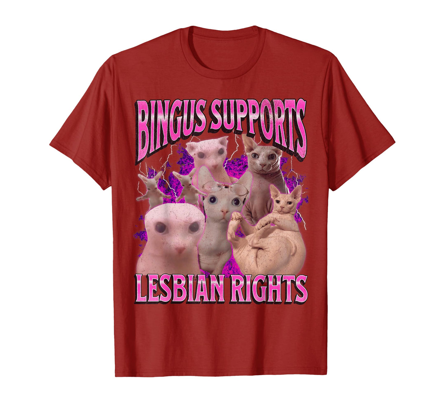 Bingus Supports Lesbian Rights Funny Cat Meme Bootleg T-Shirt
