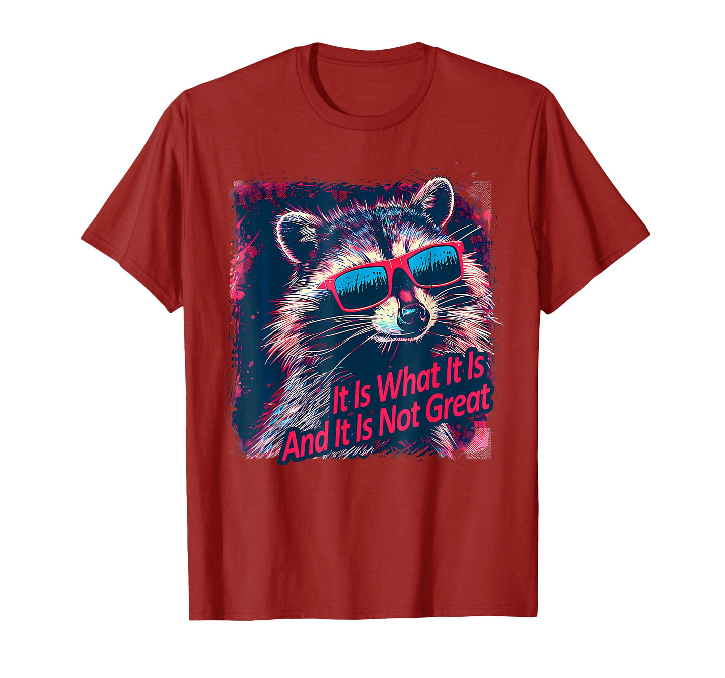 Cool Raccoon Sarcastic It Is What It Is And It Is Not Great T-Shirt