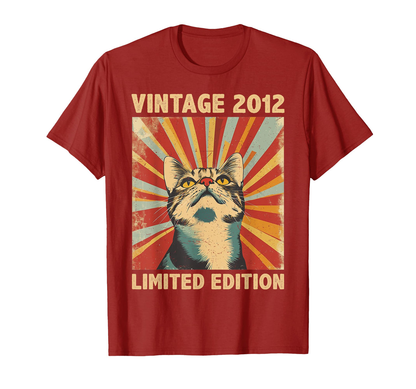 13 Years Old Gift Vintage 2012 Cat Lover 13th Birthday T-Shirt for Men Women Kids