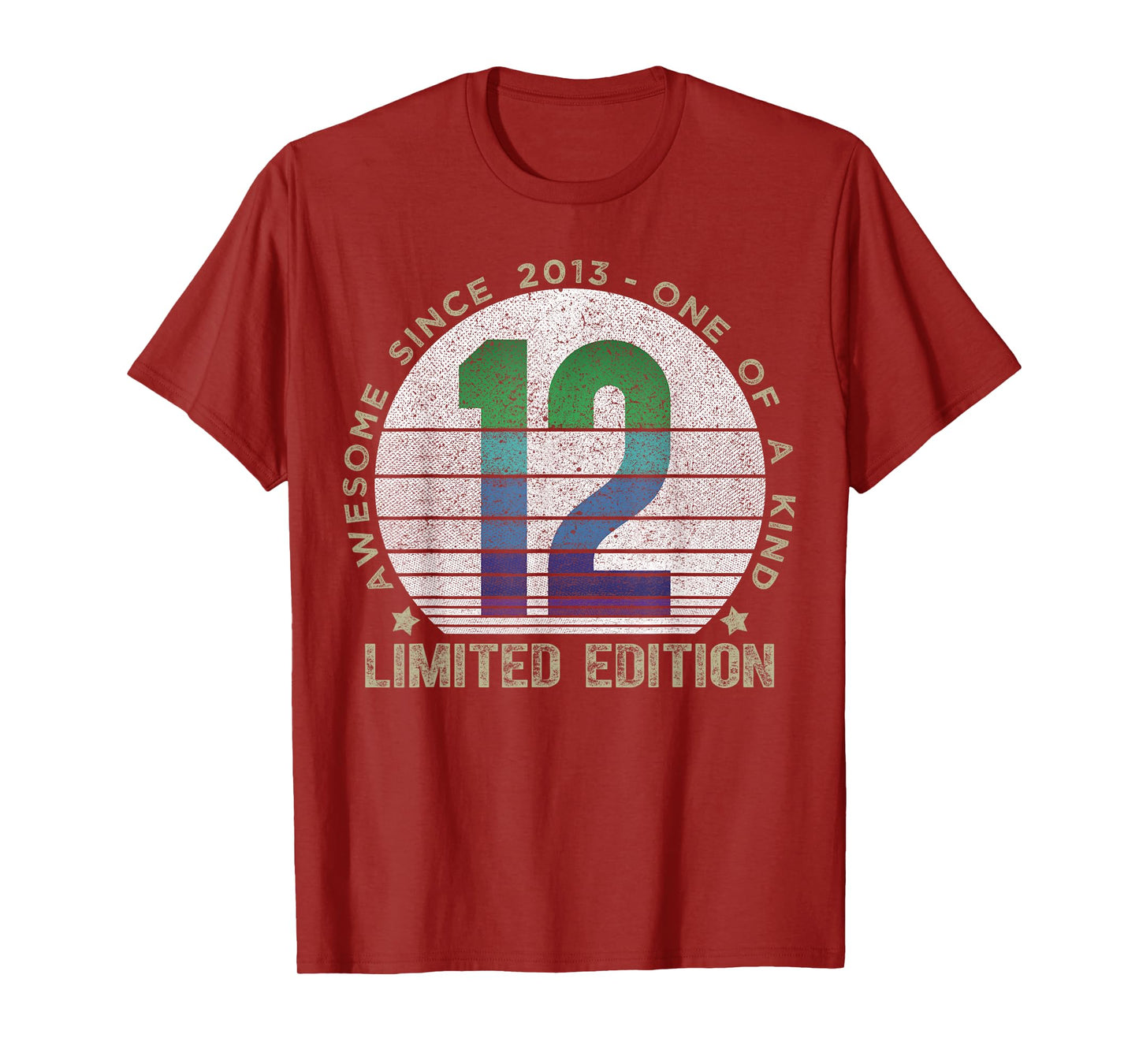 12 Year Old Gifts Vintage 2013 Limited Edition 12th Birthday T-Shirt