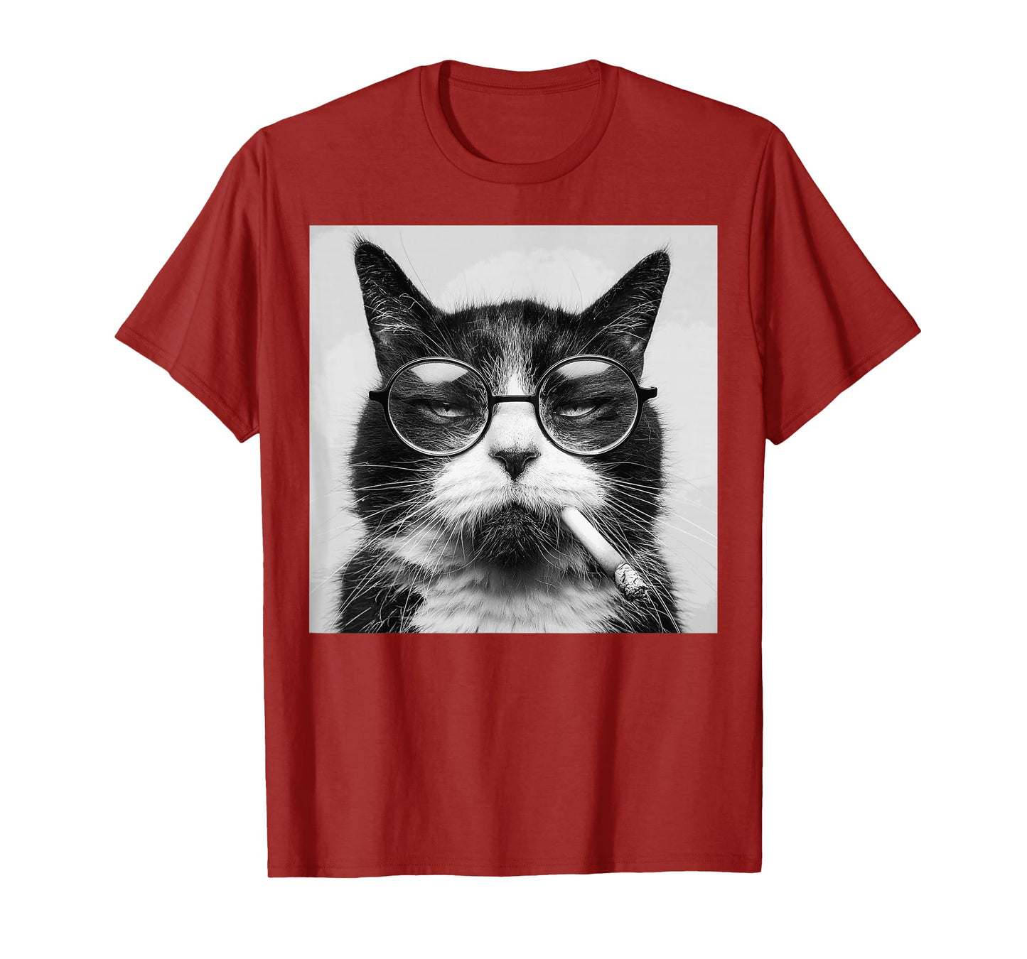 Funny Graphic Cat Smoking Adult Funny T-Shirt