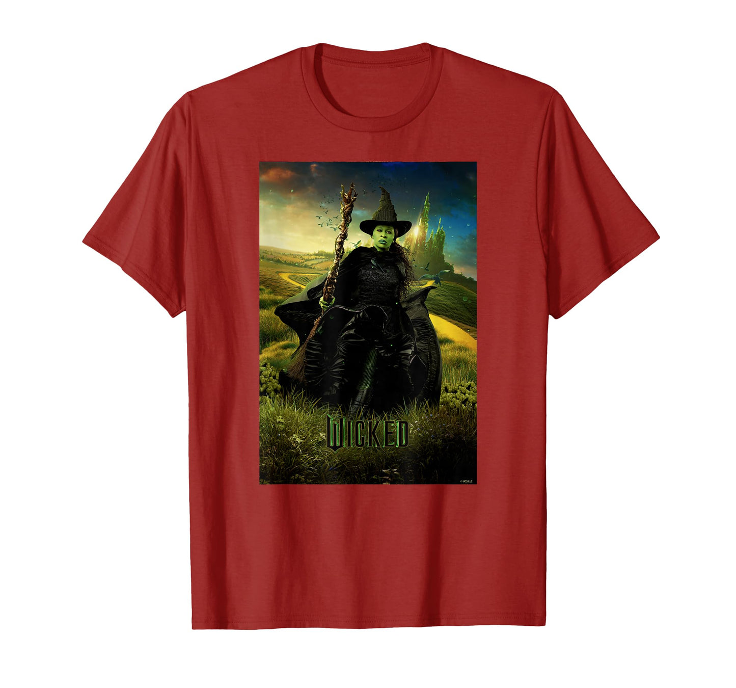 Wicked Unisex-Adults & Kids T-Shirt, Black, Small, Short Sleeve, Classic Fit, Iconic Hero Design, Licensed Movie Theme