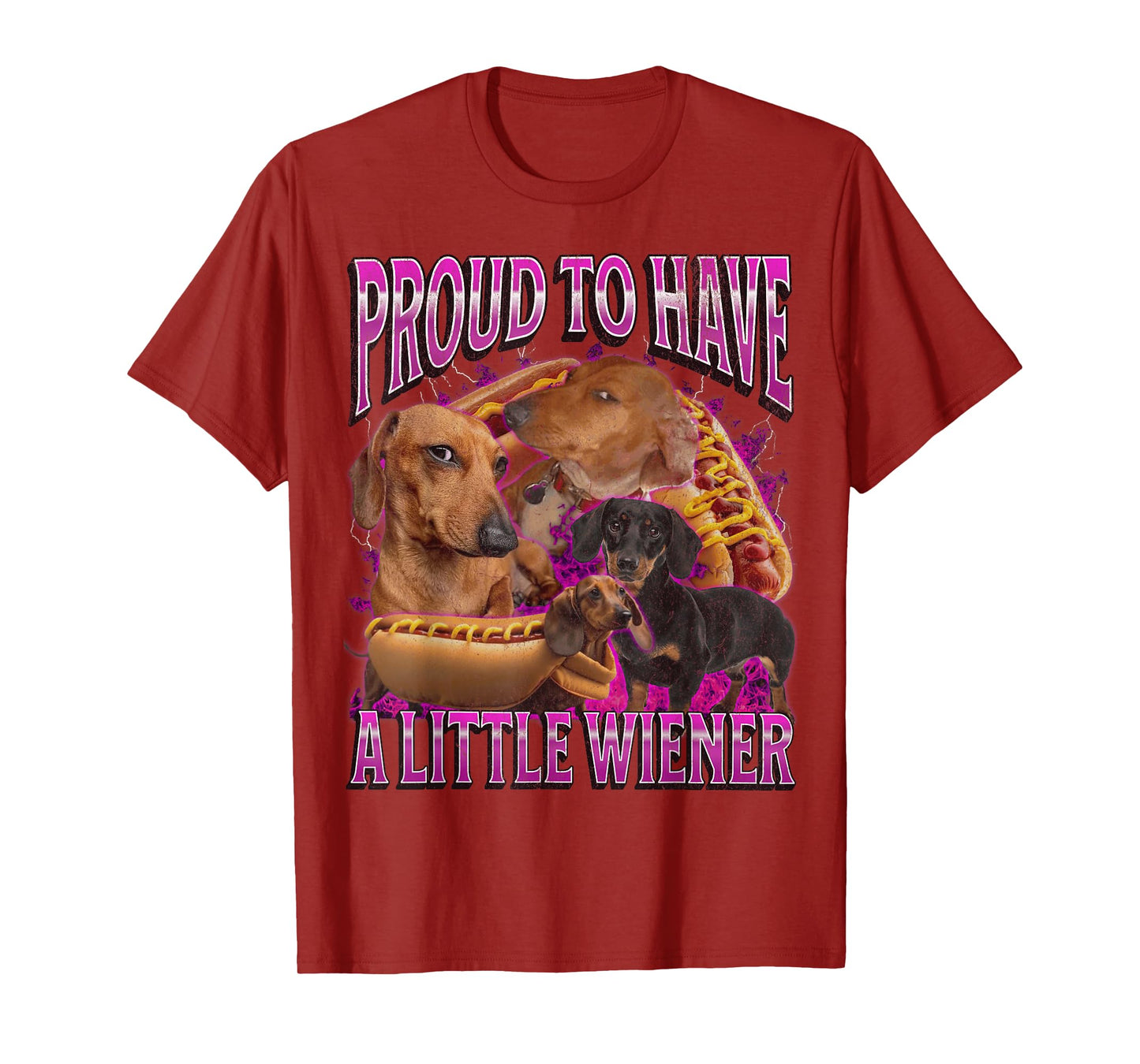 Proud To Have A Little Wiener Funny Offensive Dachshund T-Shirt