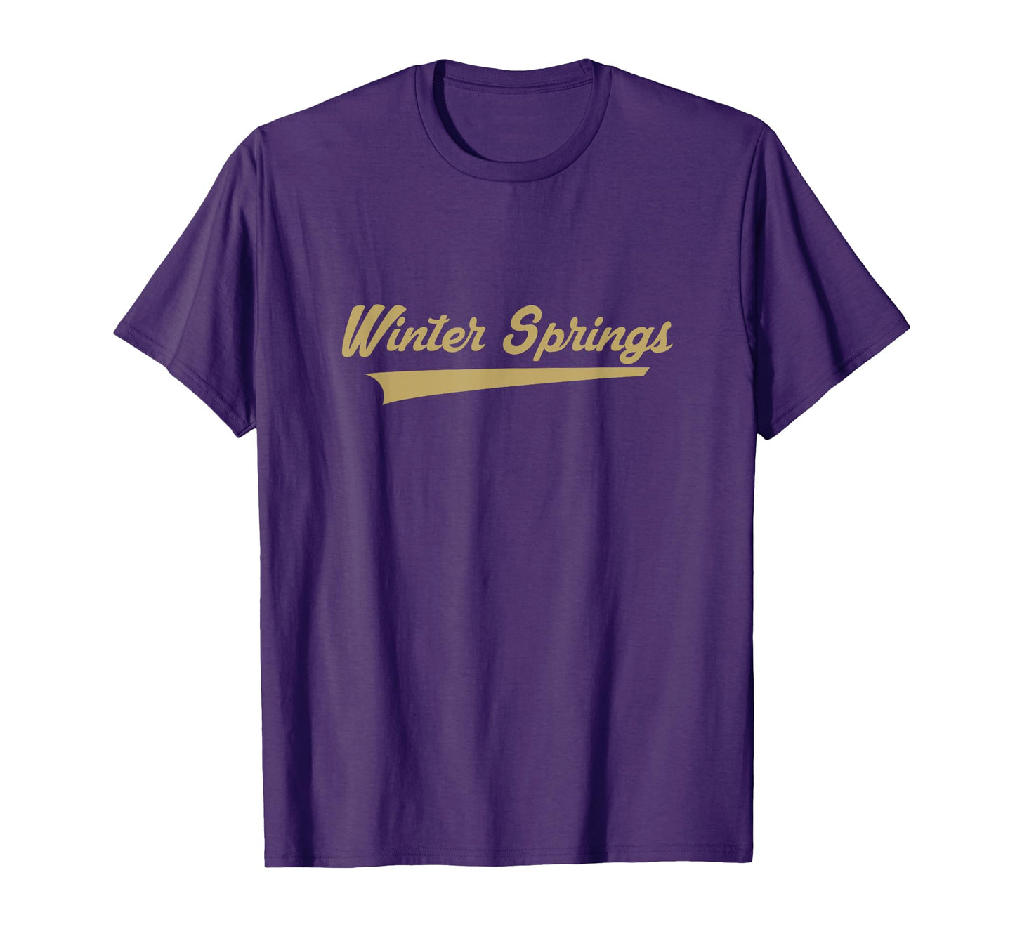 Winter Springs High School Vintage Swoosh T-Shirt