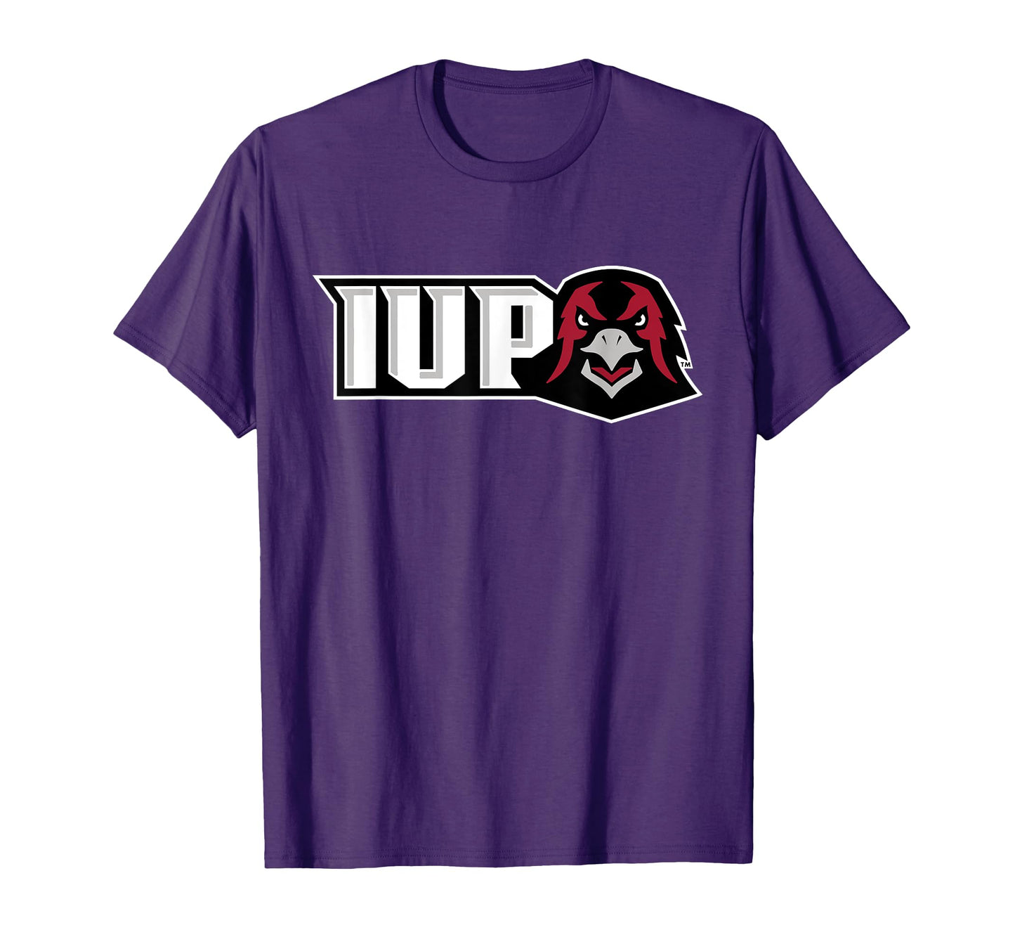 Indiana University Pennsylvania Hawks | IUP NCAA | IUPHC003 T-Shirt