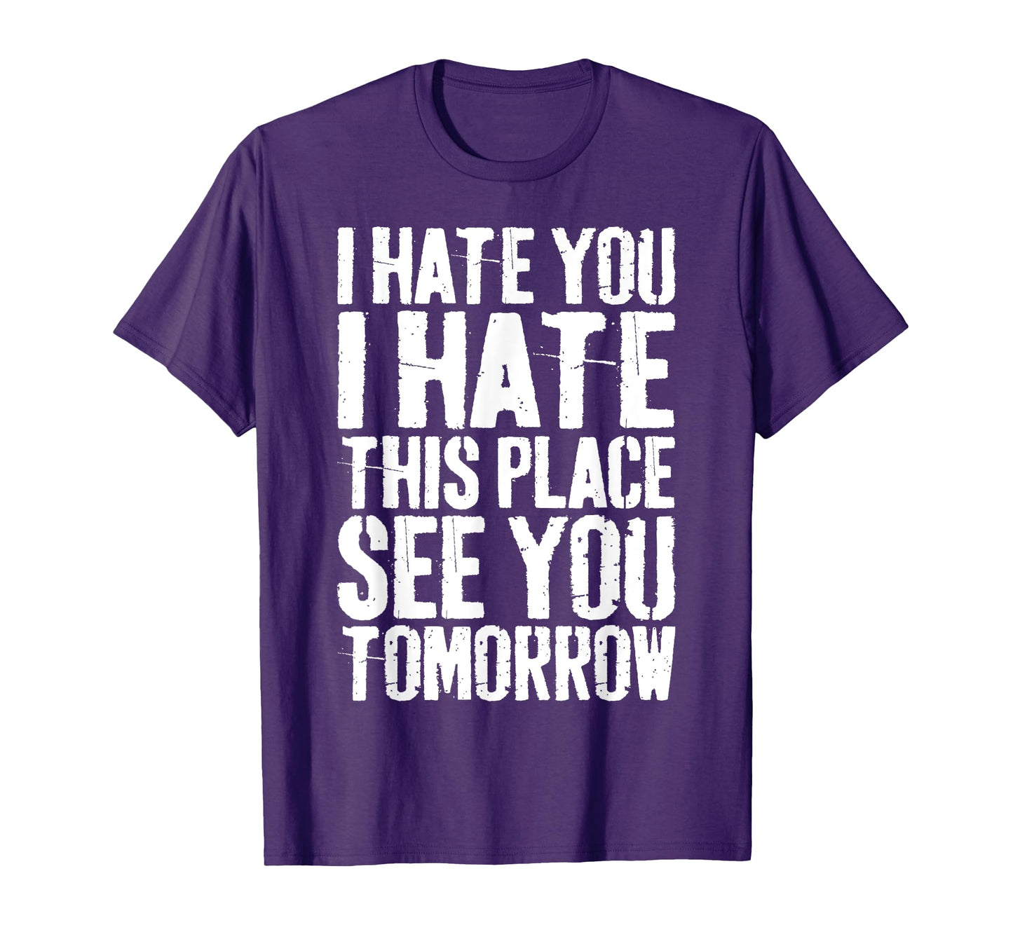 I Hate You I Hate This Place See You Tomorrow T-Shirt T-Shirt