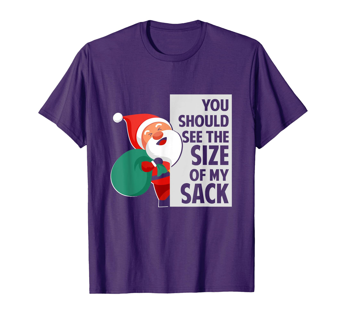 You Should See The Size Of My Sack Funny Santa Christmas T-Shirt