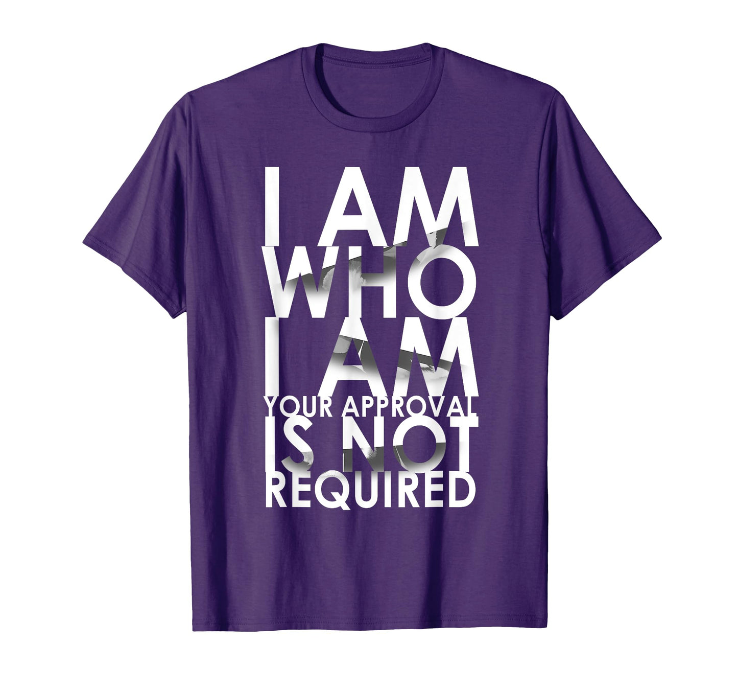 I Am Who I Am Your Approval Is Not Required Needed T-Shirt T-Shirt