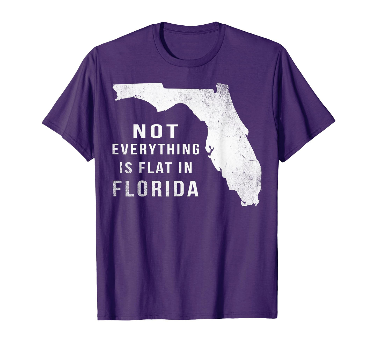 Not Everything Is Flat Funny Florida T-Shirt T-Shirt