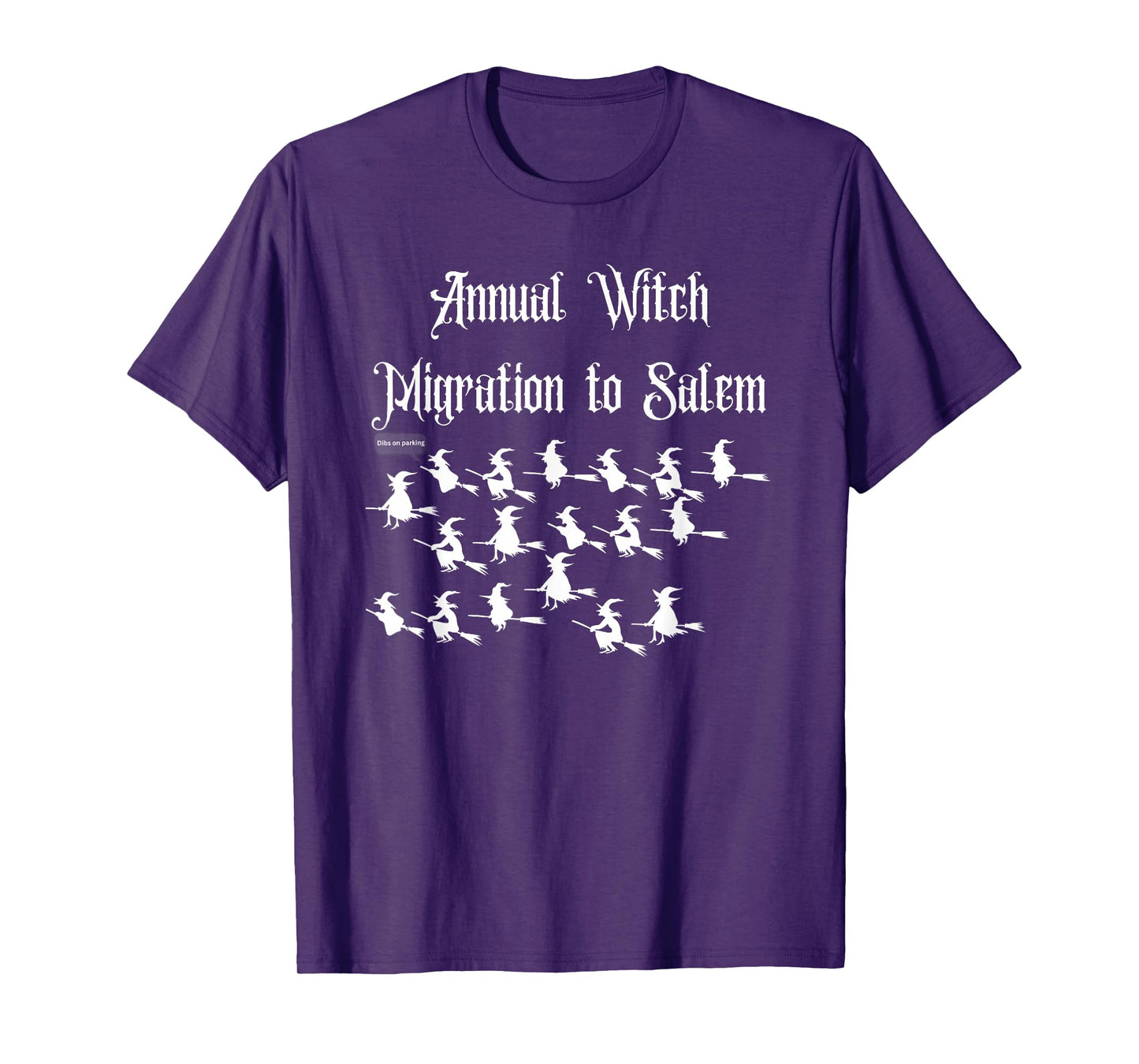 Funny Novelty Salem Mass Halloween Vintage Flying Witch T-Shirt