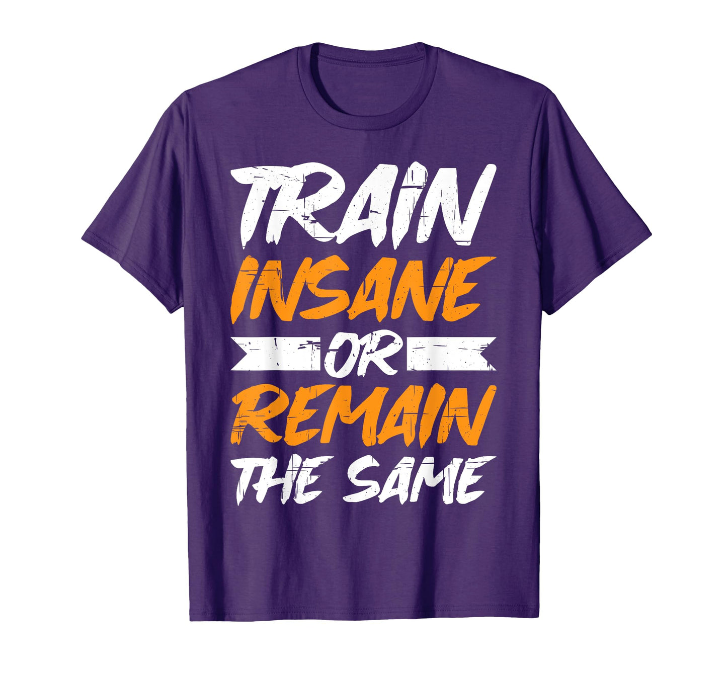 Train Insane Or Remain The Same ------- T-Shirt