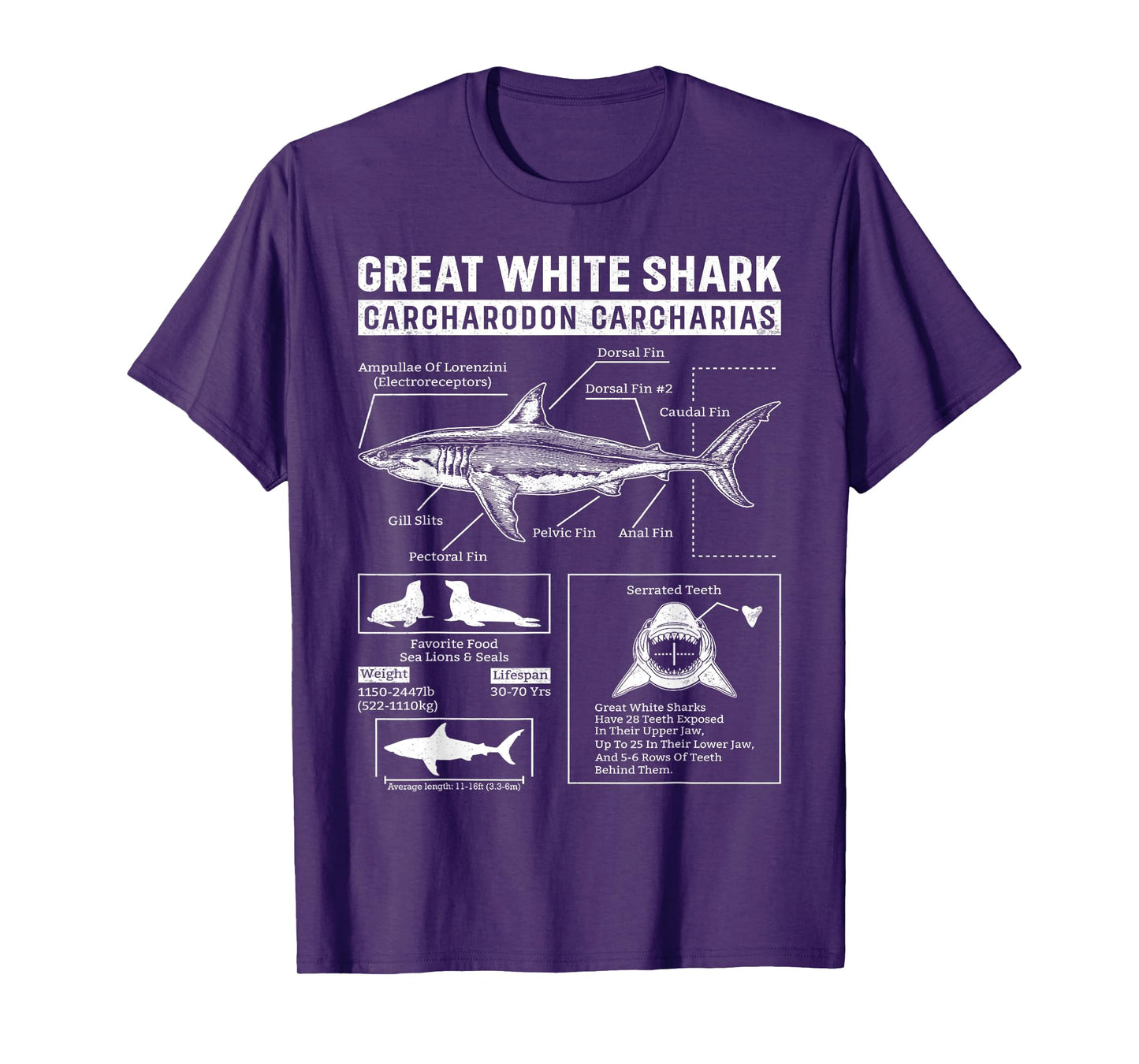 Vintage Great White Shark Anatomy Lover Marine Biologist T-Shirt