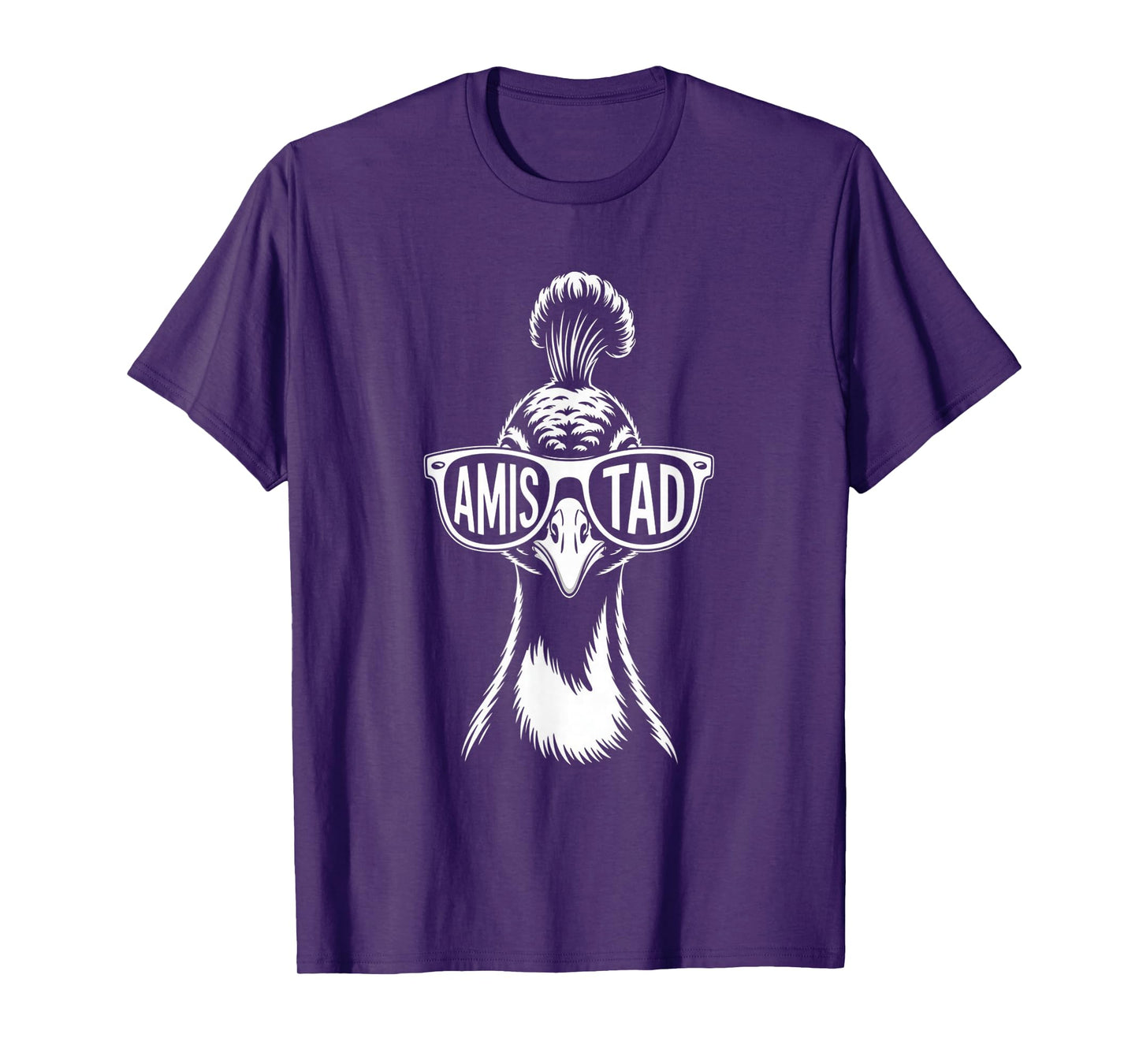 Amistad House of Friendship, RCA School Teachers T-Shirt