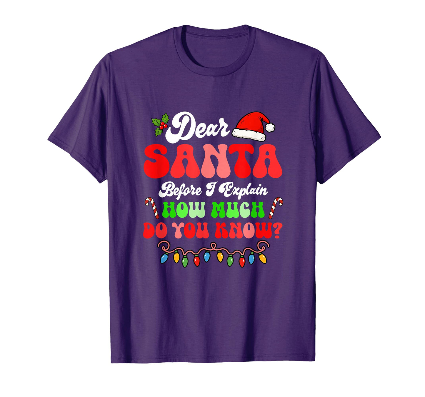 I Can Explain Christmas Colorful Lights Santa Costume Family T-Shirt