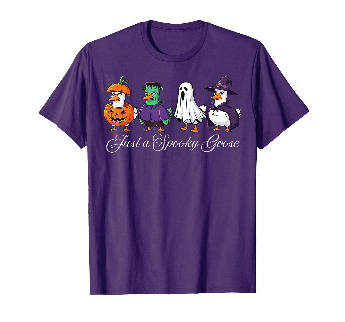 Just A Spooky Goose Witch Pumpkin Halloween Costume 2025 T-Shirt