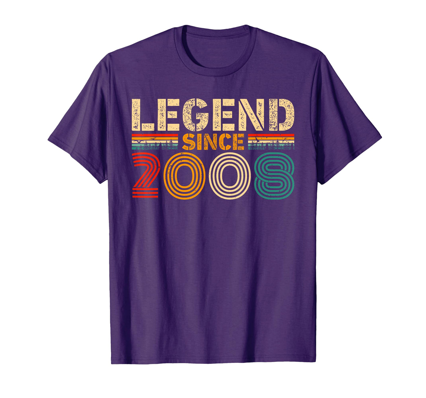 Legend Since 2008 Vintage Birthday Year 2008 Men Women Retro T-Shirt