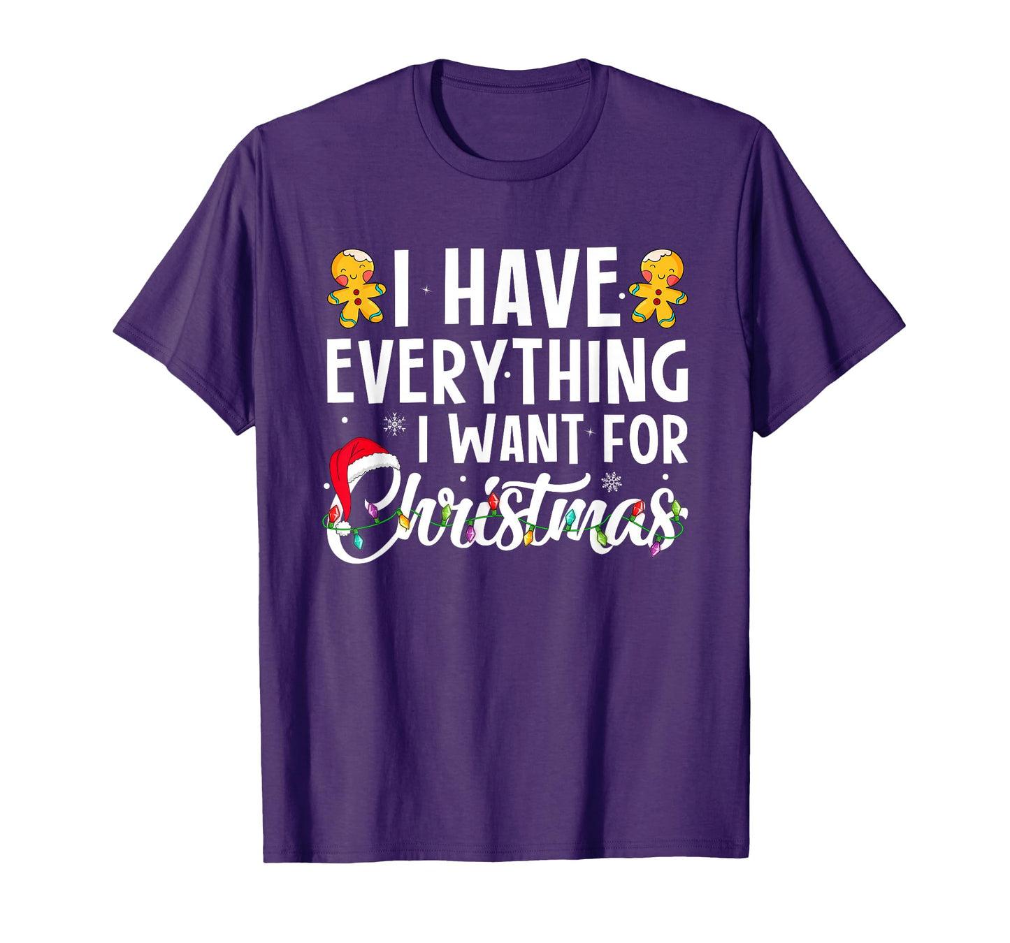 I Have Everything I Want for Christmas Funny Xmas Pajamas T-Shirt