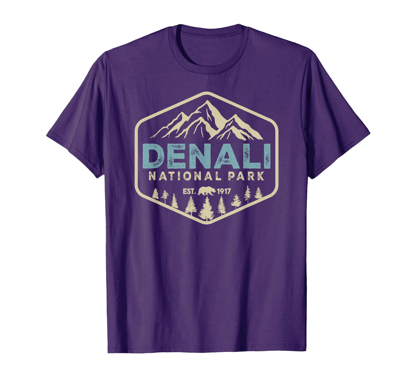 Retro Denali National Park mountains Nature Vintage Hiking T-Shirt