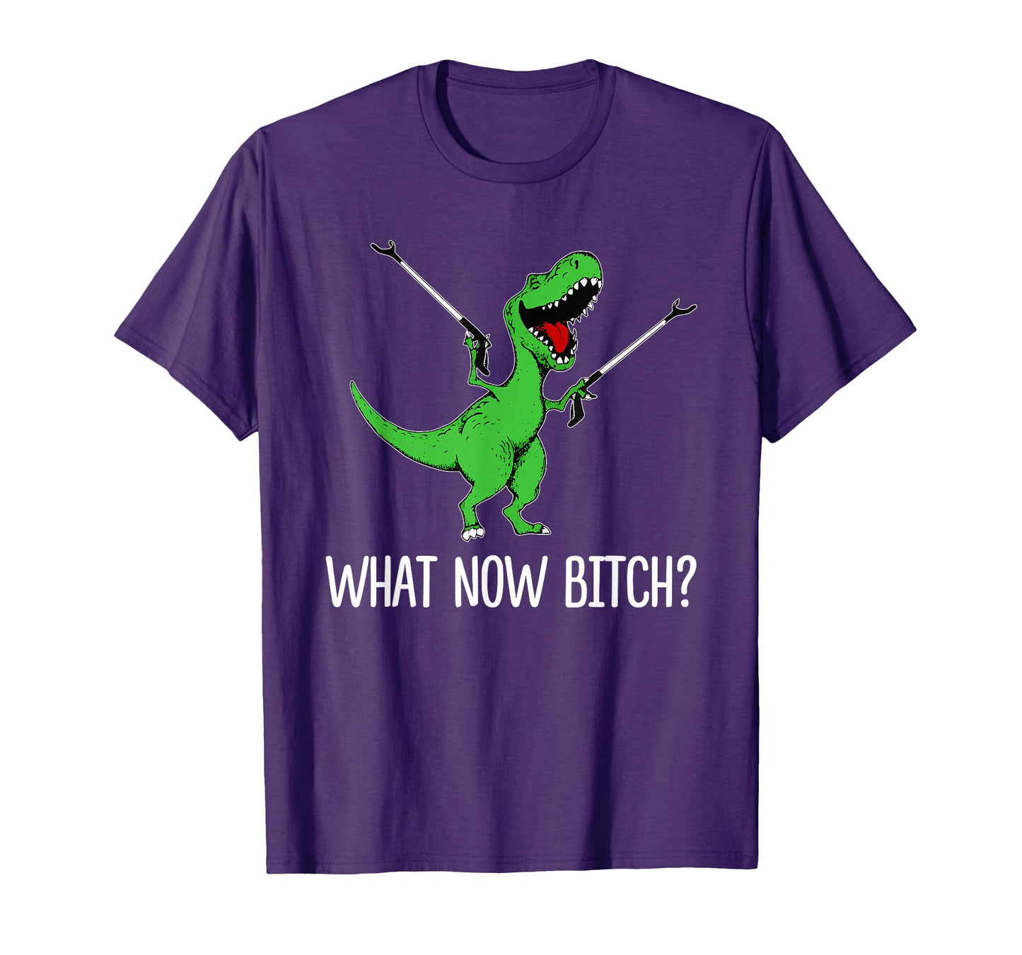 What Now Bitch Funny Dinorsaur Meme T-Shirt
