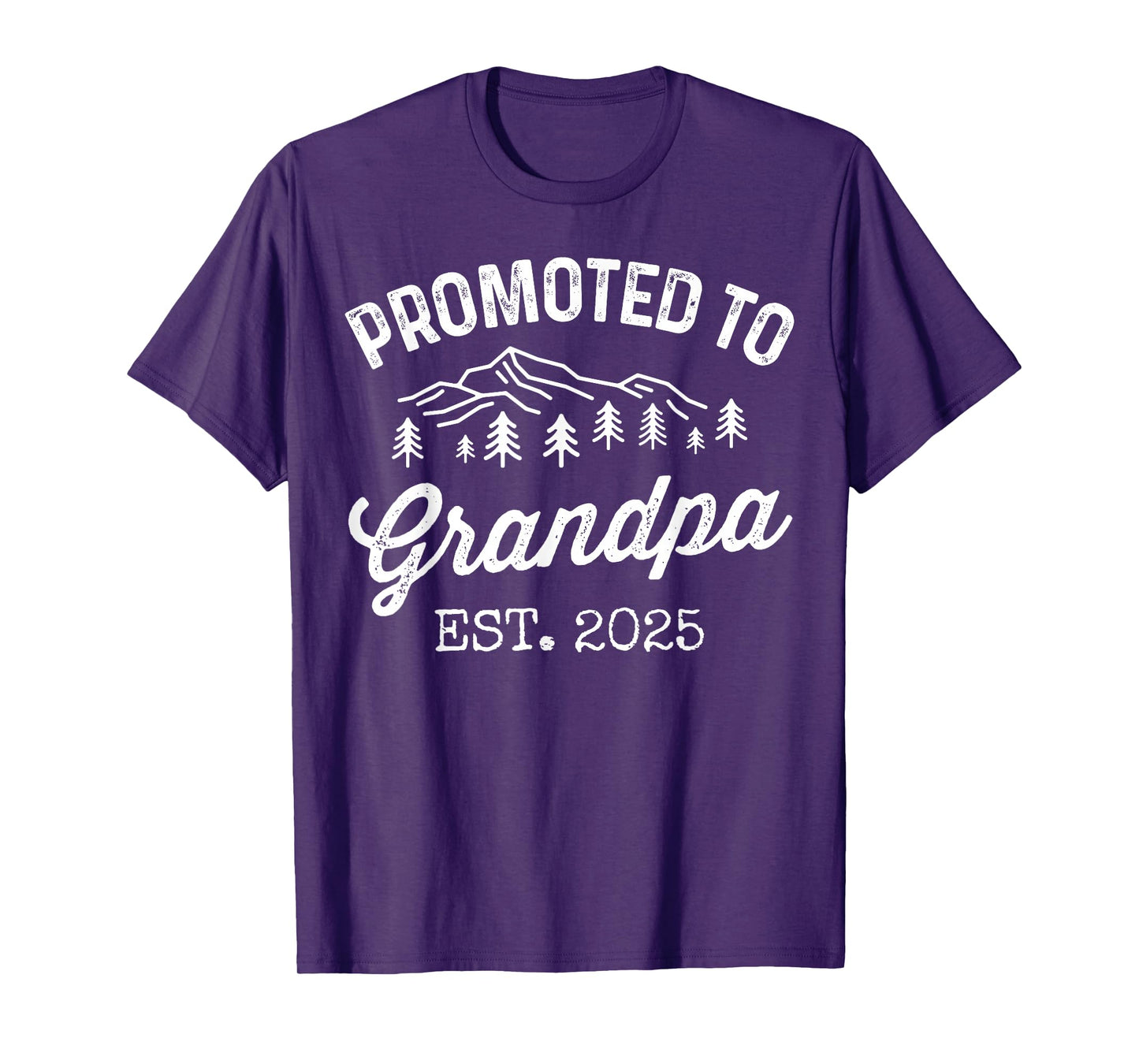 Promoted To Grandpa Est 2025 Soon To Be Grandpa Gifts Poppop T-Shirt
