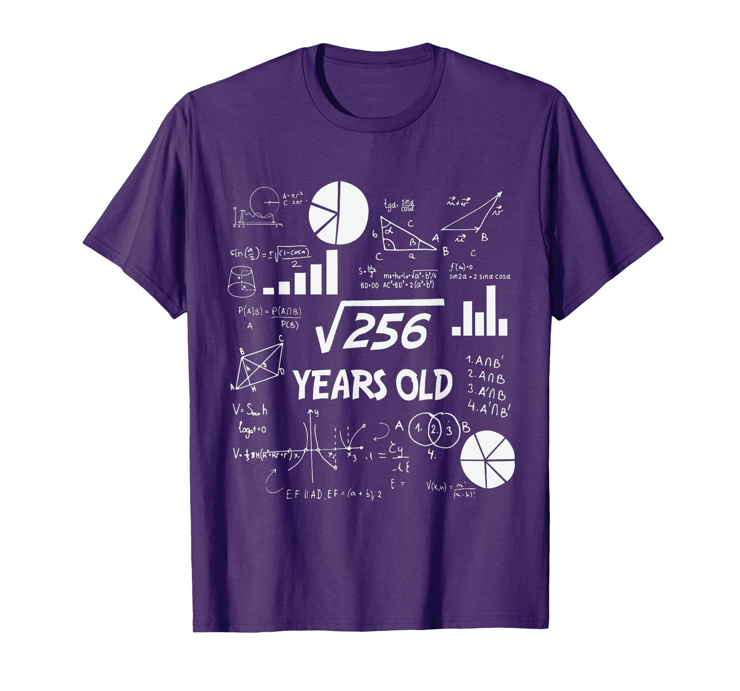 16th Birthday Square Root of 256 Math 16 Years Old Birthday T-Shirt