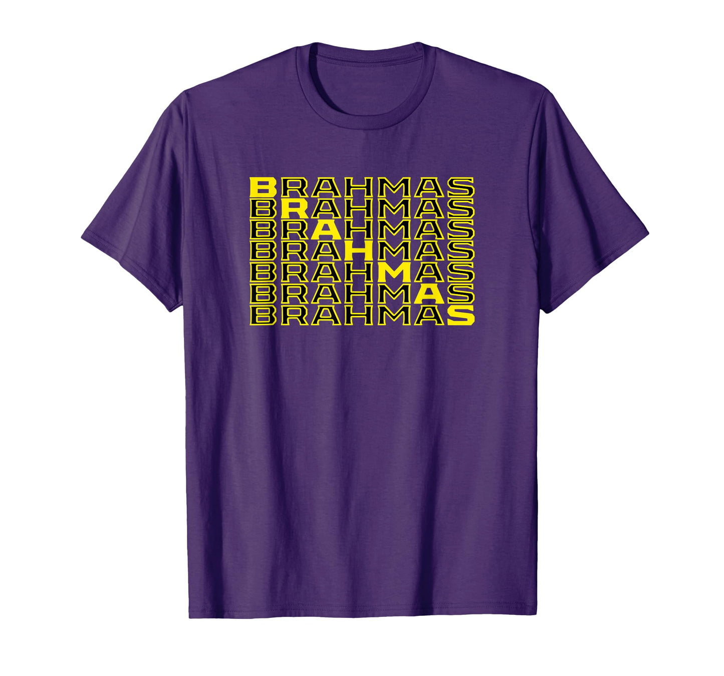 Brahmas San Antonio Football Tailgate T-Shirt