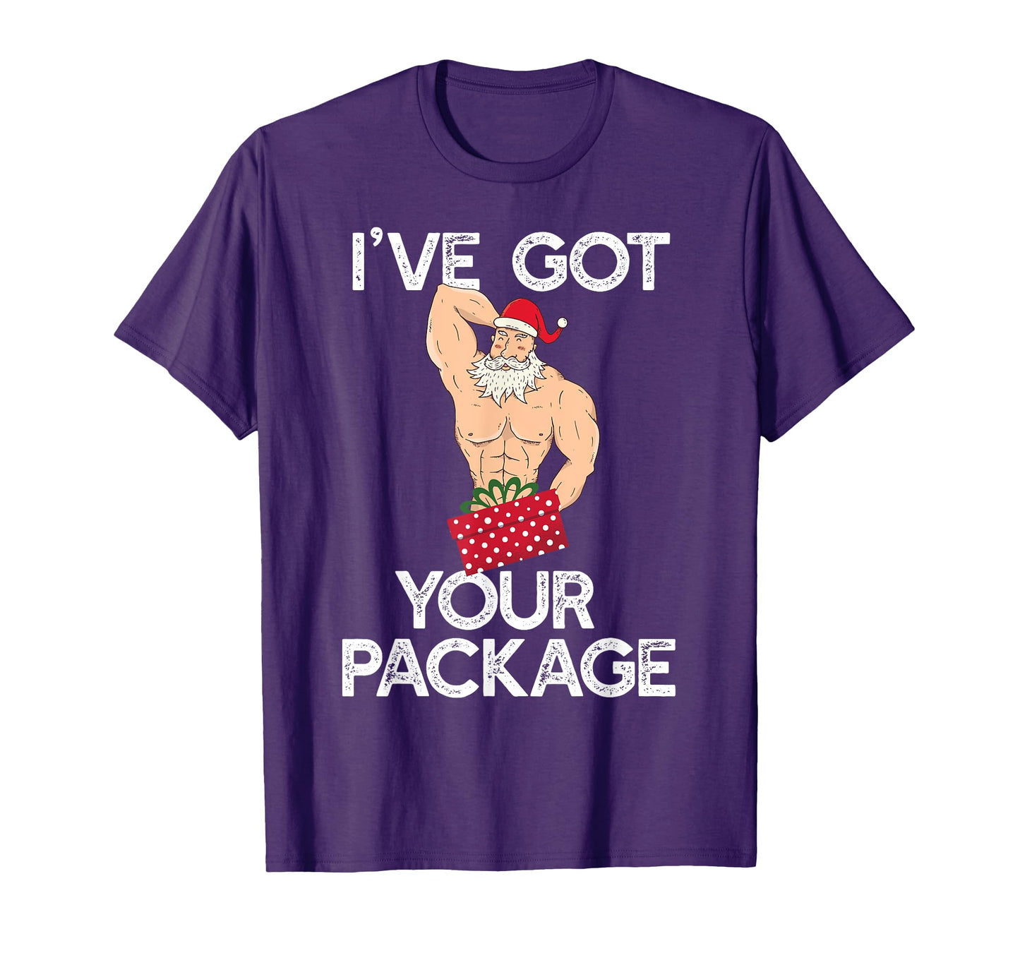 I'VE GOT YOUR PACKAGE Funny Sexy Santa Claus Funny Meme T-Shirt