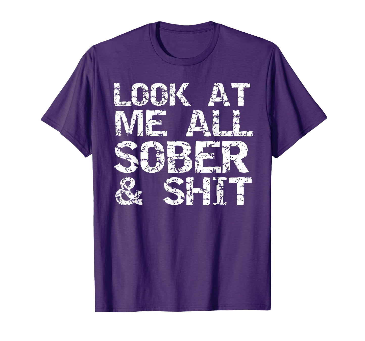 Funny Addiction Recovery Gifts Look at Me All Sober & Shit T-Shirt