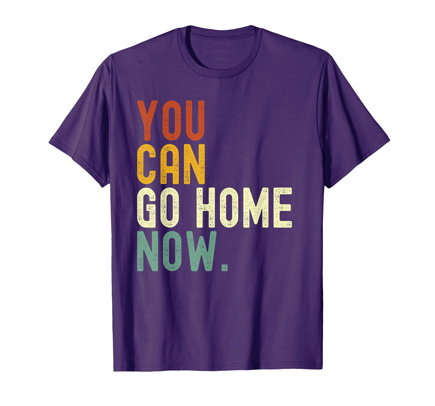 Retro vintage style You can go home now T-Shirt
