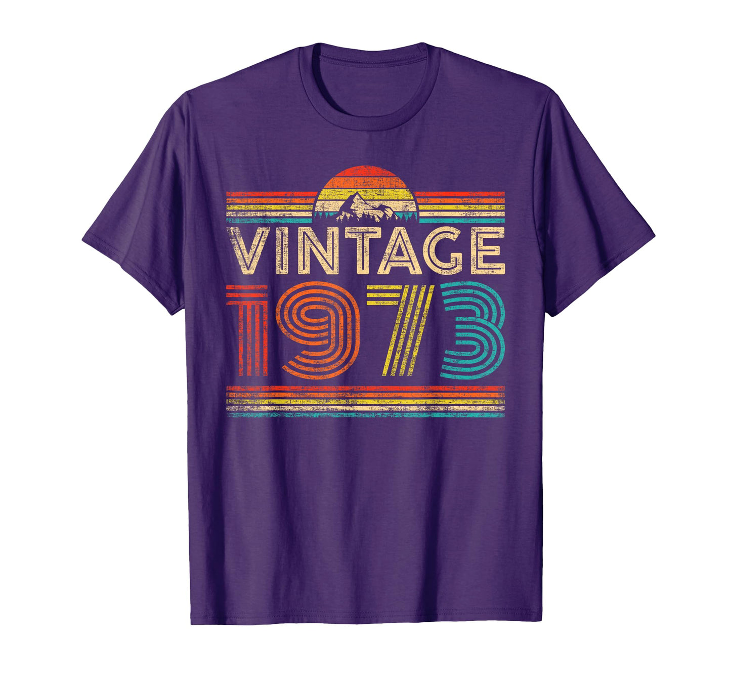 Vintage 1973 Classic Year 1973 Birthday Men Women Vintage T-Shirt