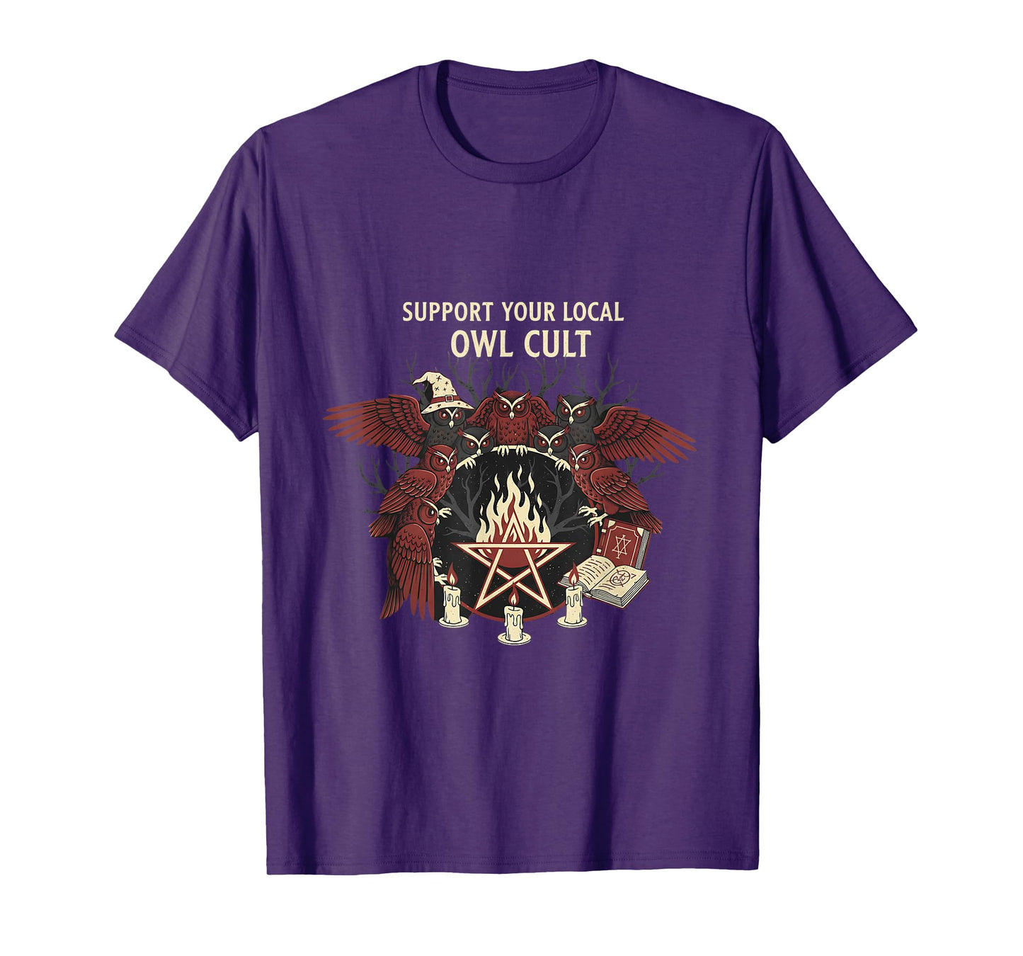 Owl Cult Funny Occult Witches Halloween Spooky Graphic T-Shirt
