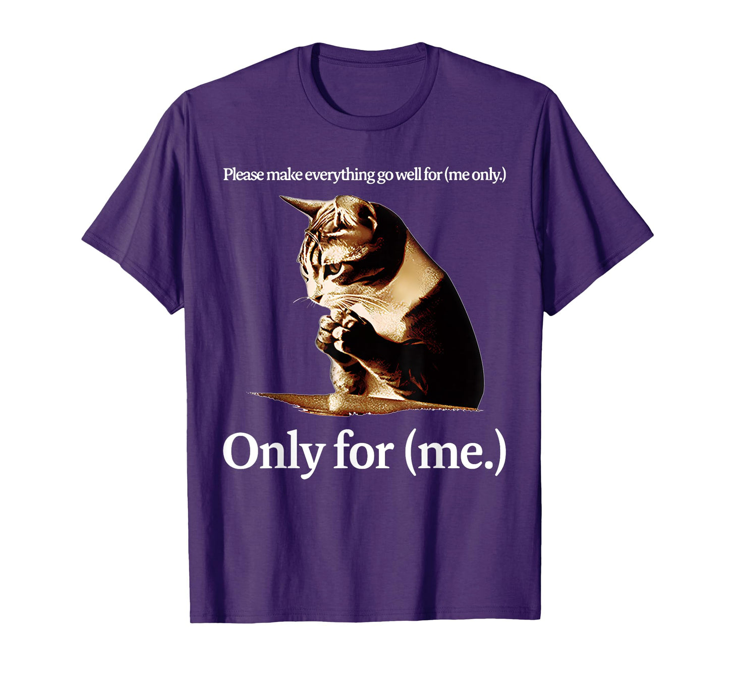 Cat Jesus Please Make Everything Go Well For Only For (Me) T-Shirt